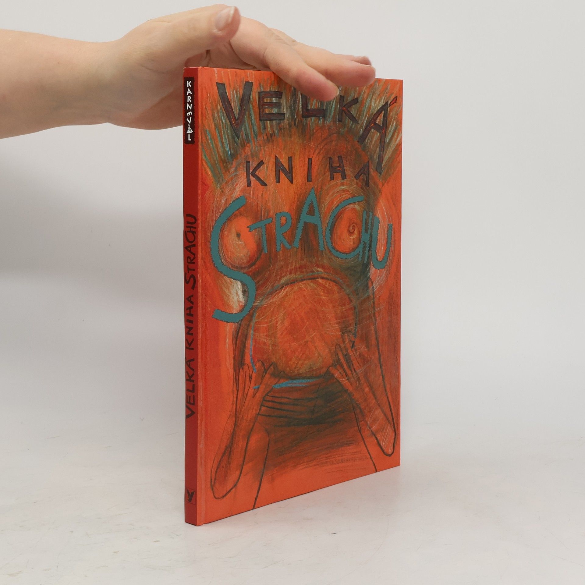 Veronika Bohatá Velká kniha strachu