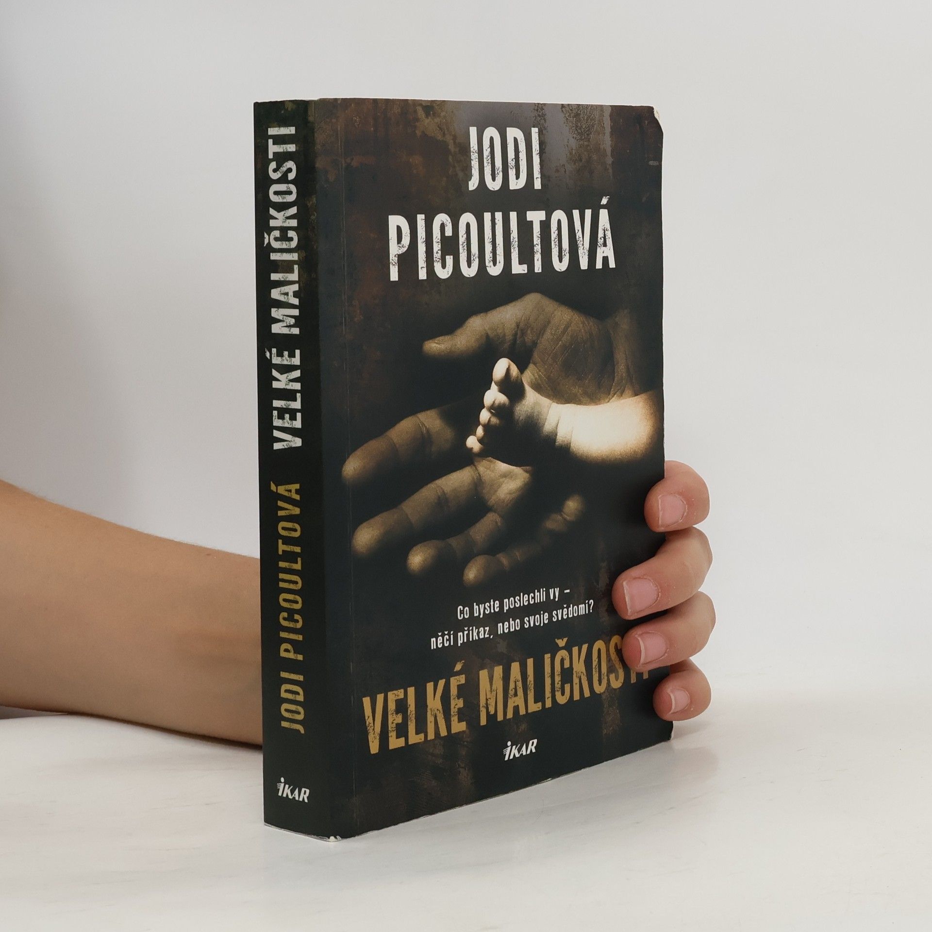 Jodi Picoult Velké maličkosti