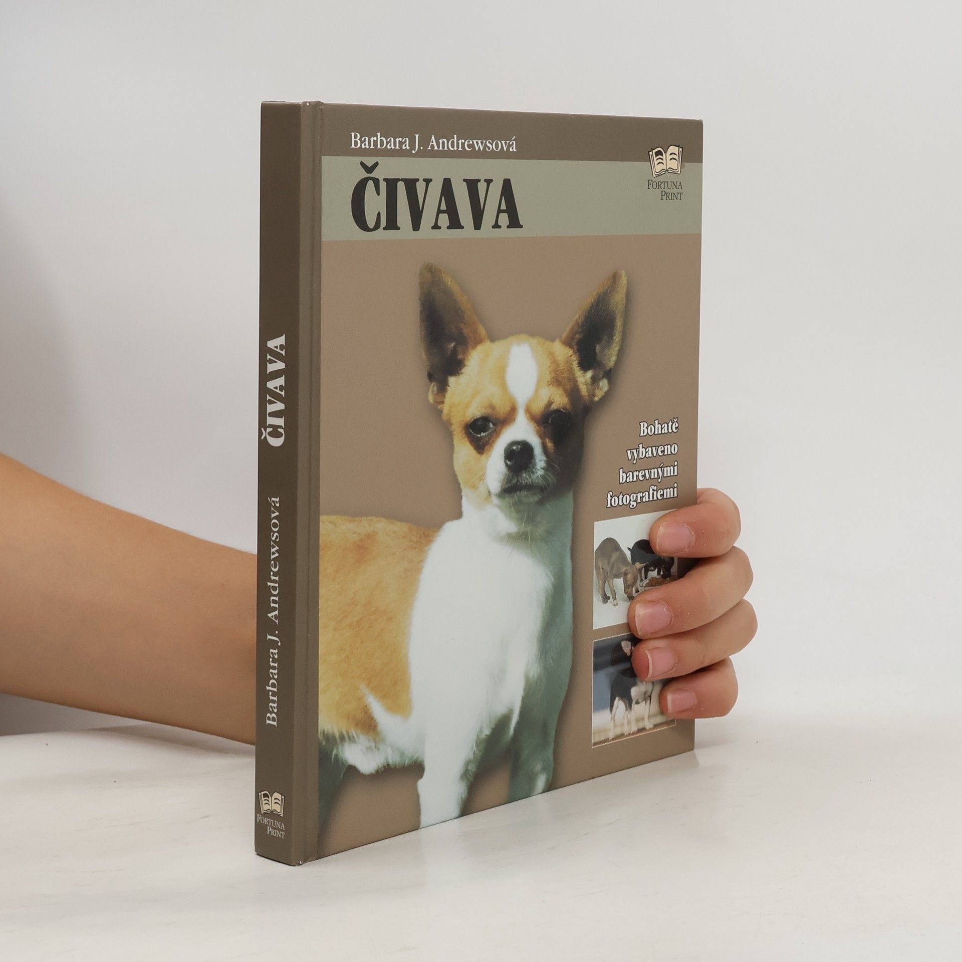 Barbara J. Andrews Čivava