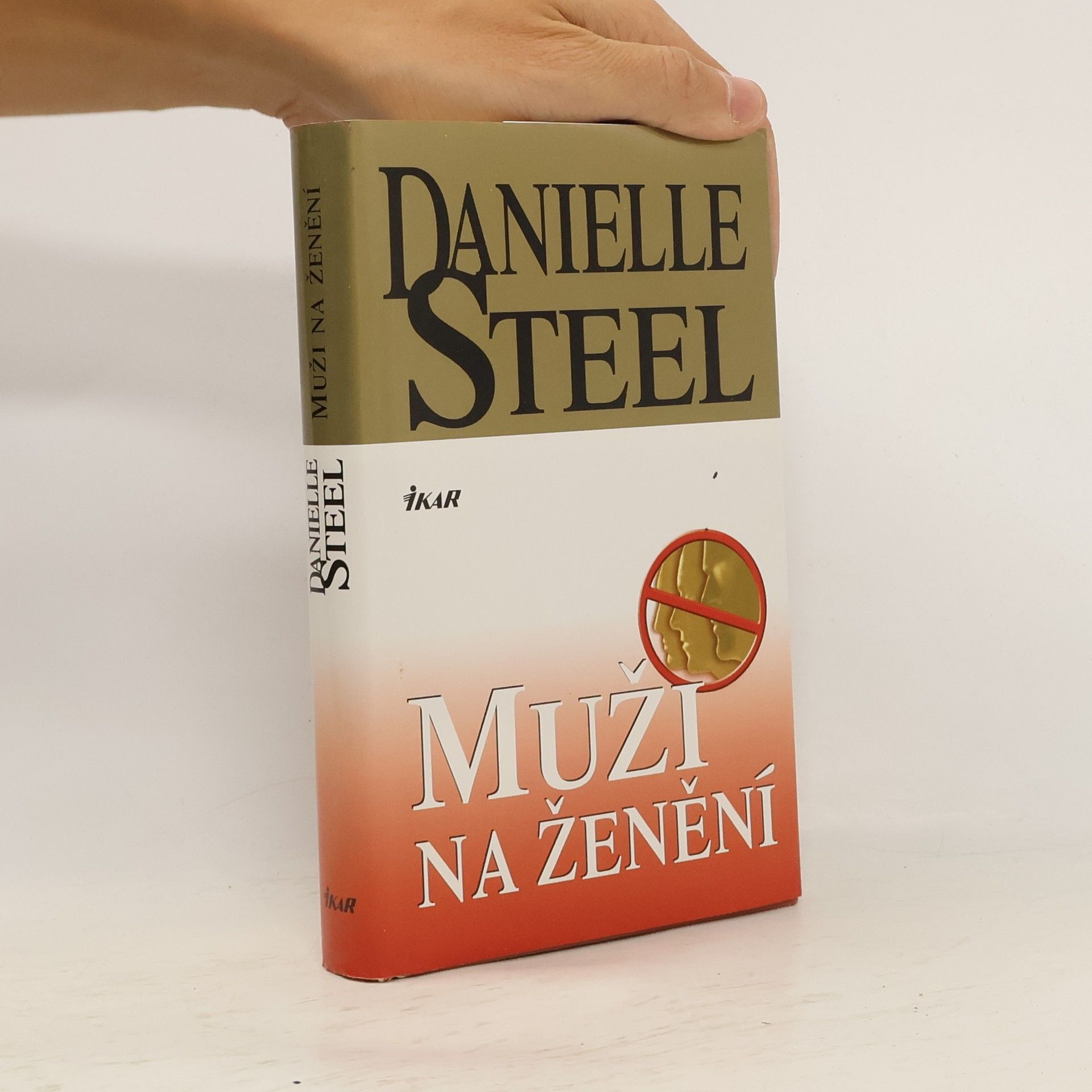 Danielle Steel Muži na ženění