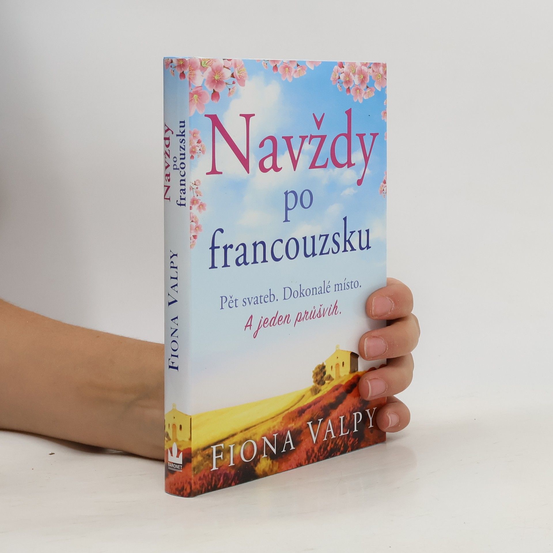 Fiona Valpy Navždy po francouzsku