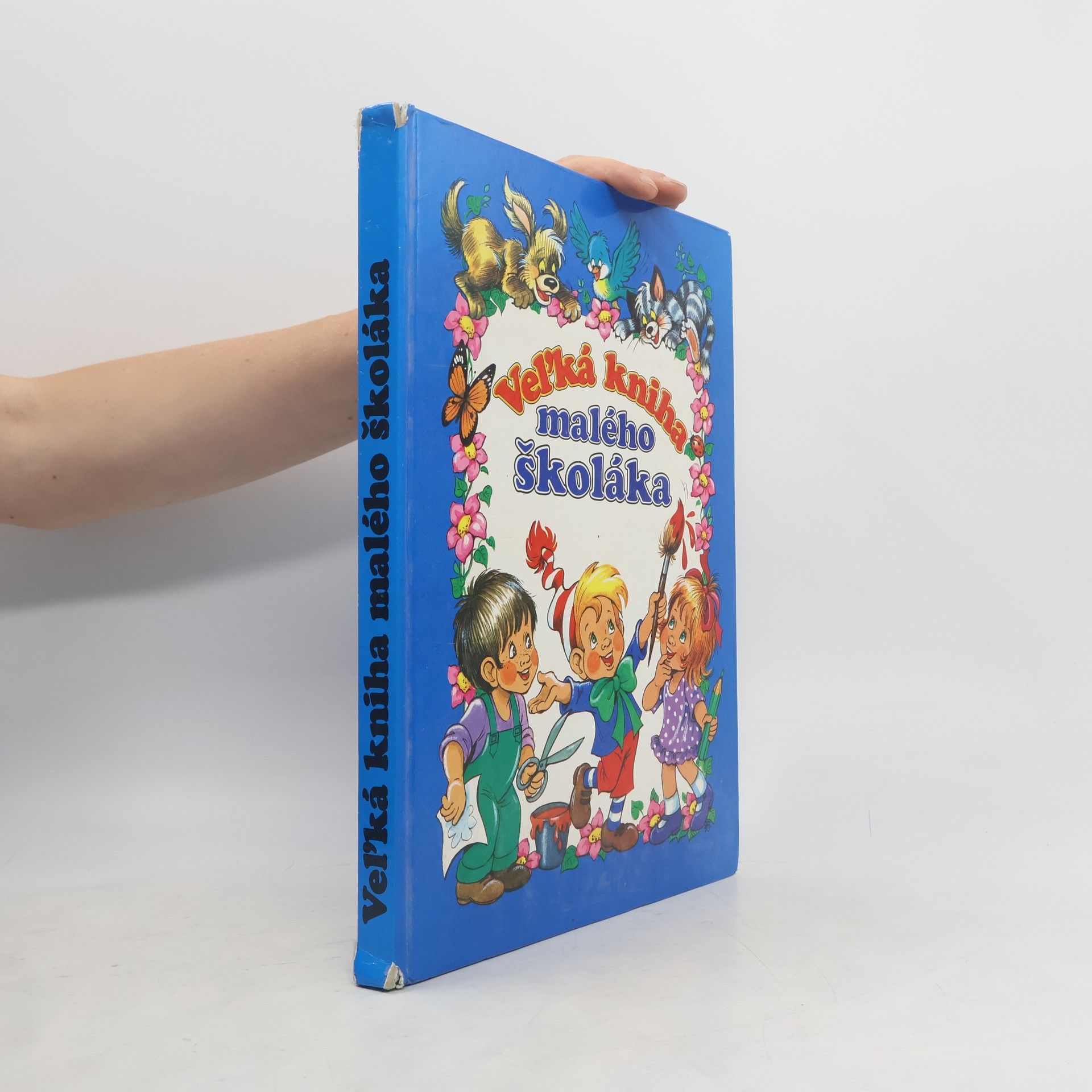 Auteurscollectief Veĺká kniha malého školáka