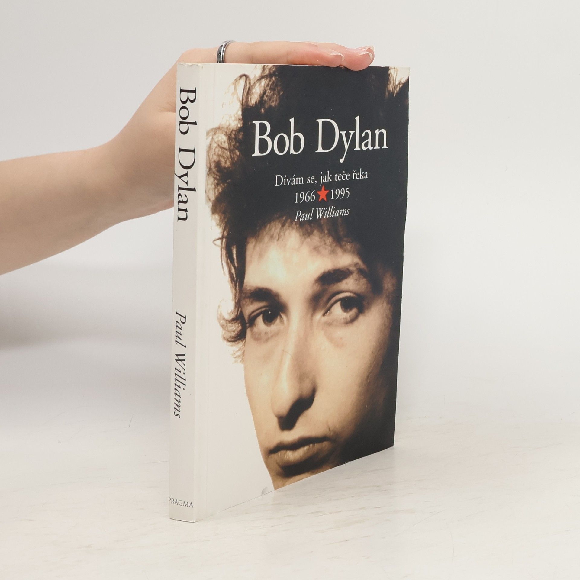 Paul Williams Bob Dylan - Dívám se, jak teče řeka 1966 - 1995