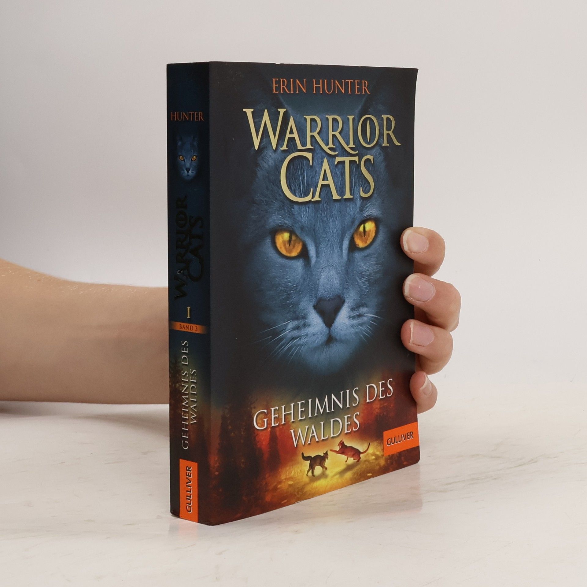 Warrior Cats. Geheimnis des Waldes