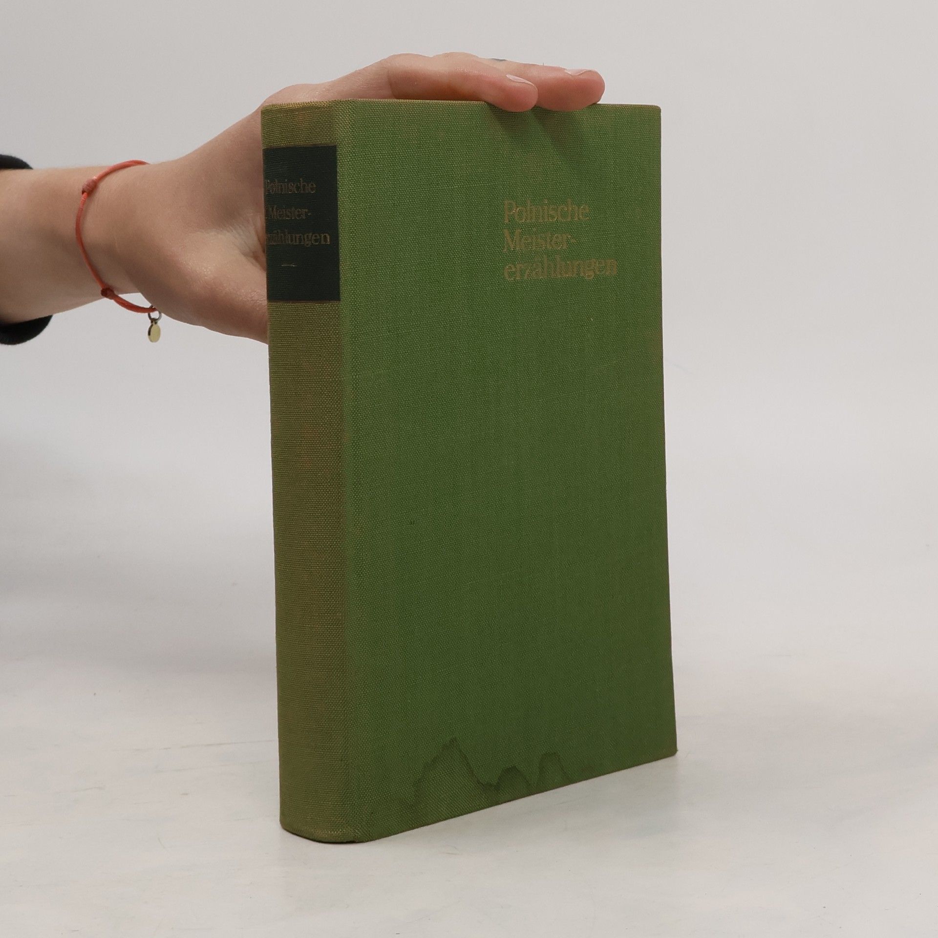 Auteurscollectief Polnische Meister-erzählungen