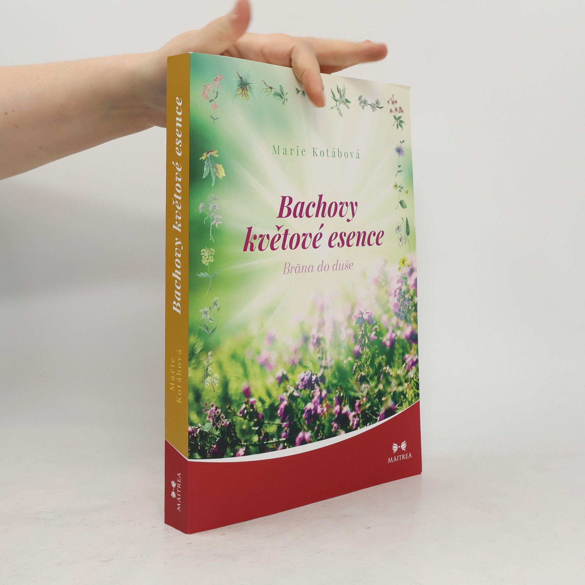 Marie Kotábová Bachovy květové esence : brána do duše