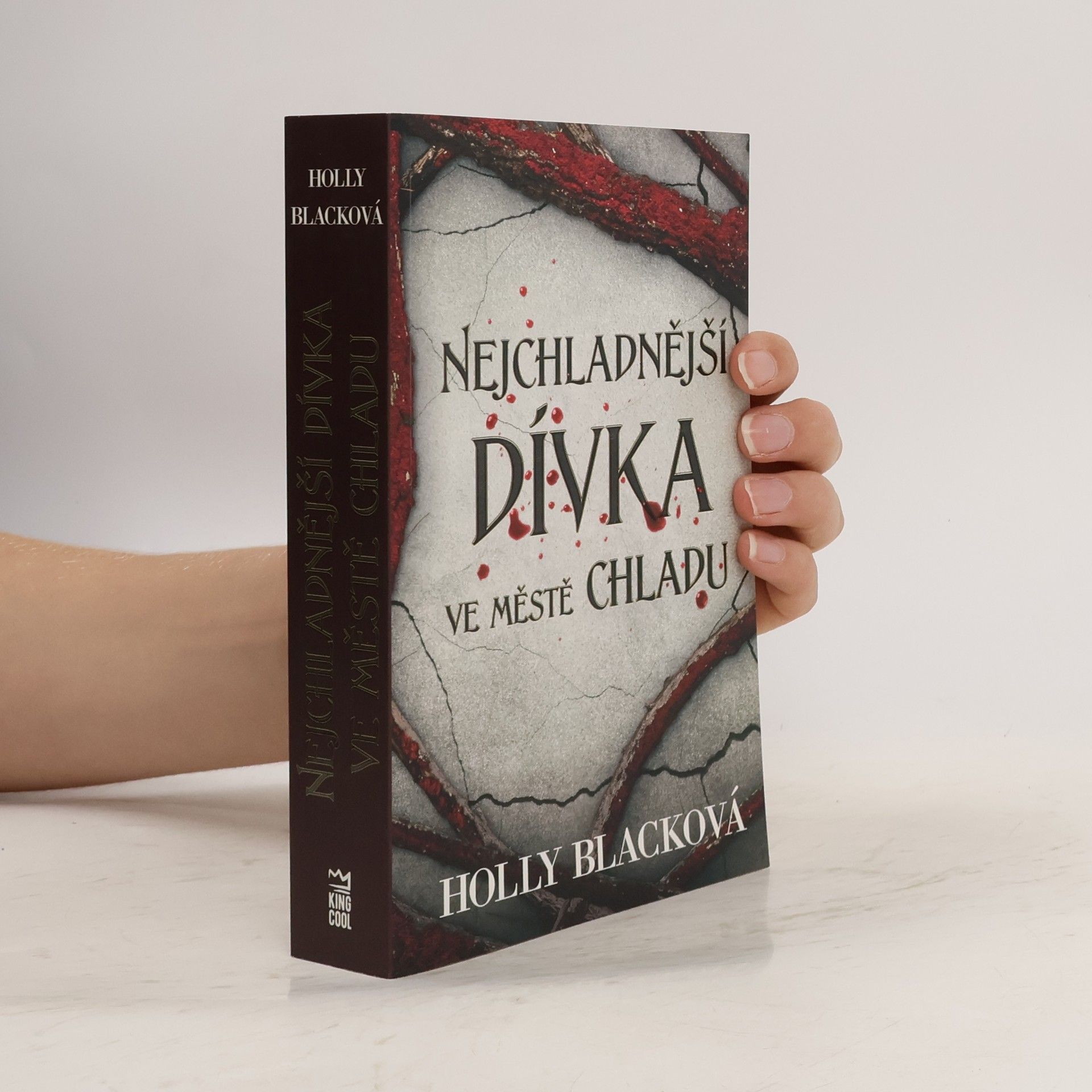 Holly Black Nejchladnější dívka ve městě chladu