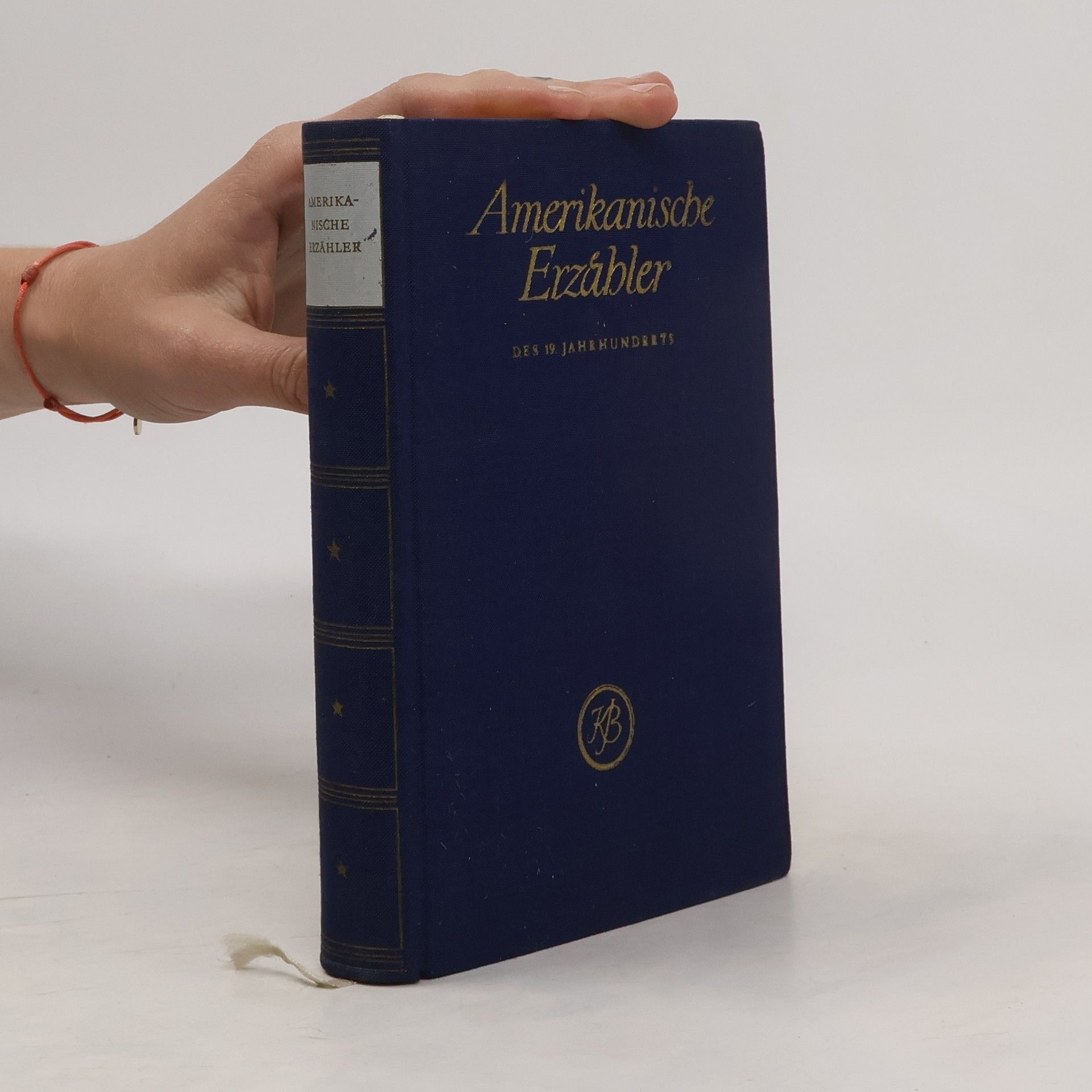 AA.VV. Amerikanische Erzähler des 19. Jahrhunderts