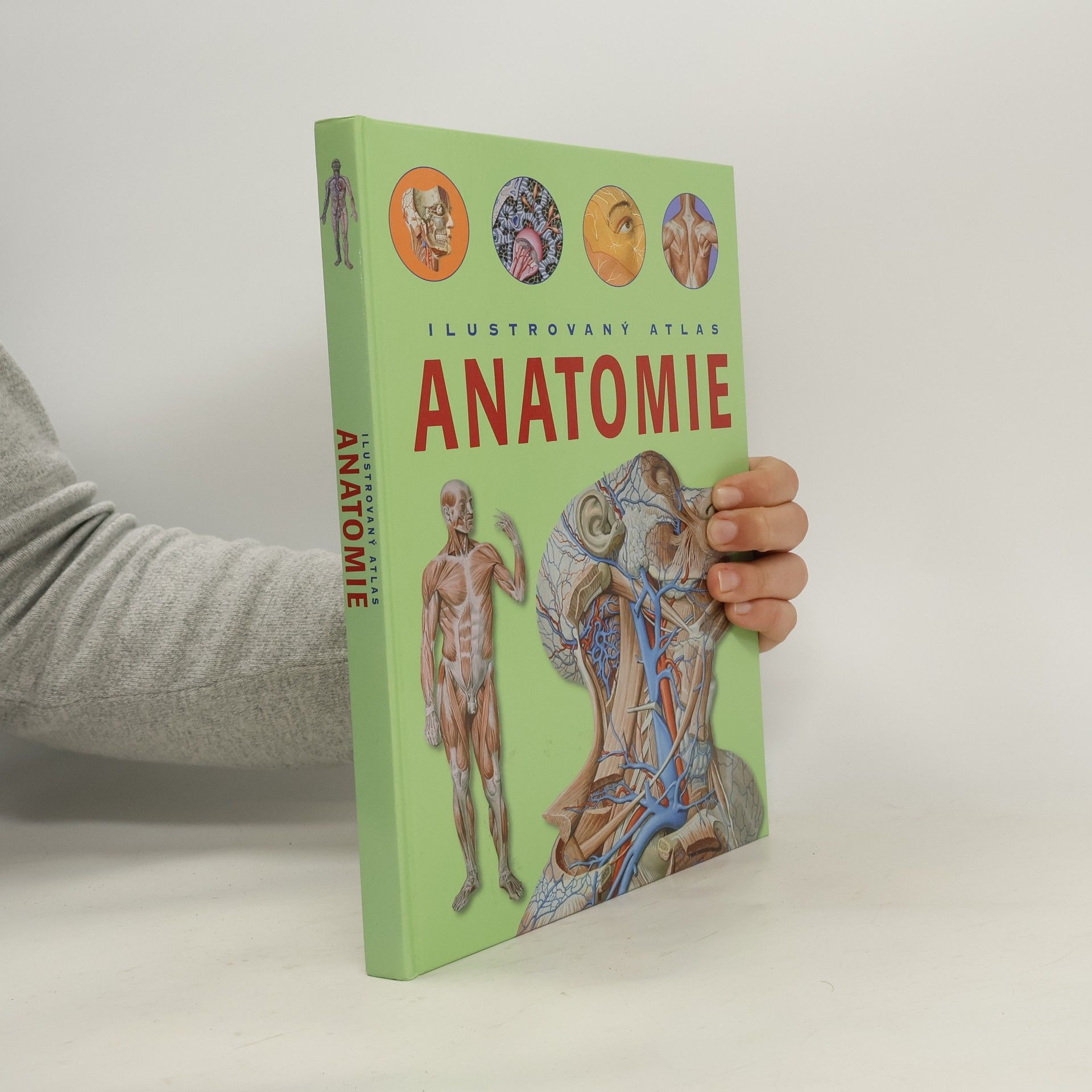 Adriana Rigutti Ilustrovaný atlas anatomie