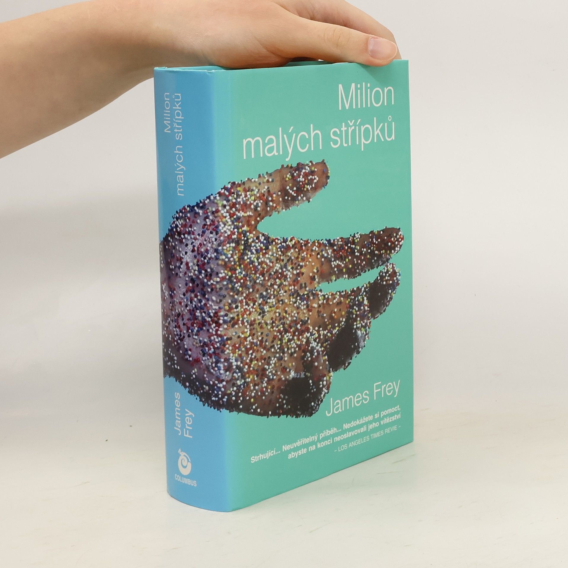 James Frey Milion malých střípků