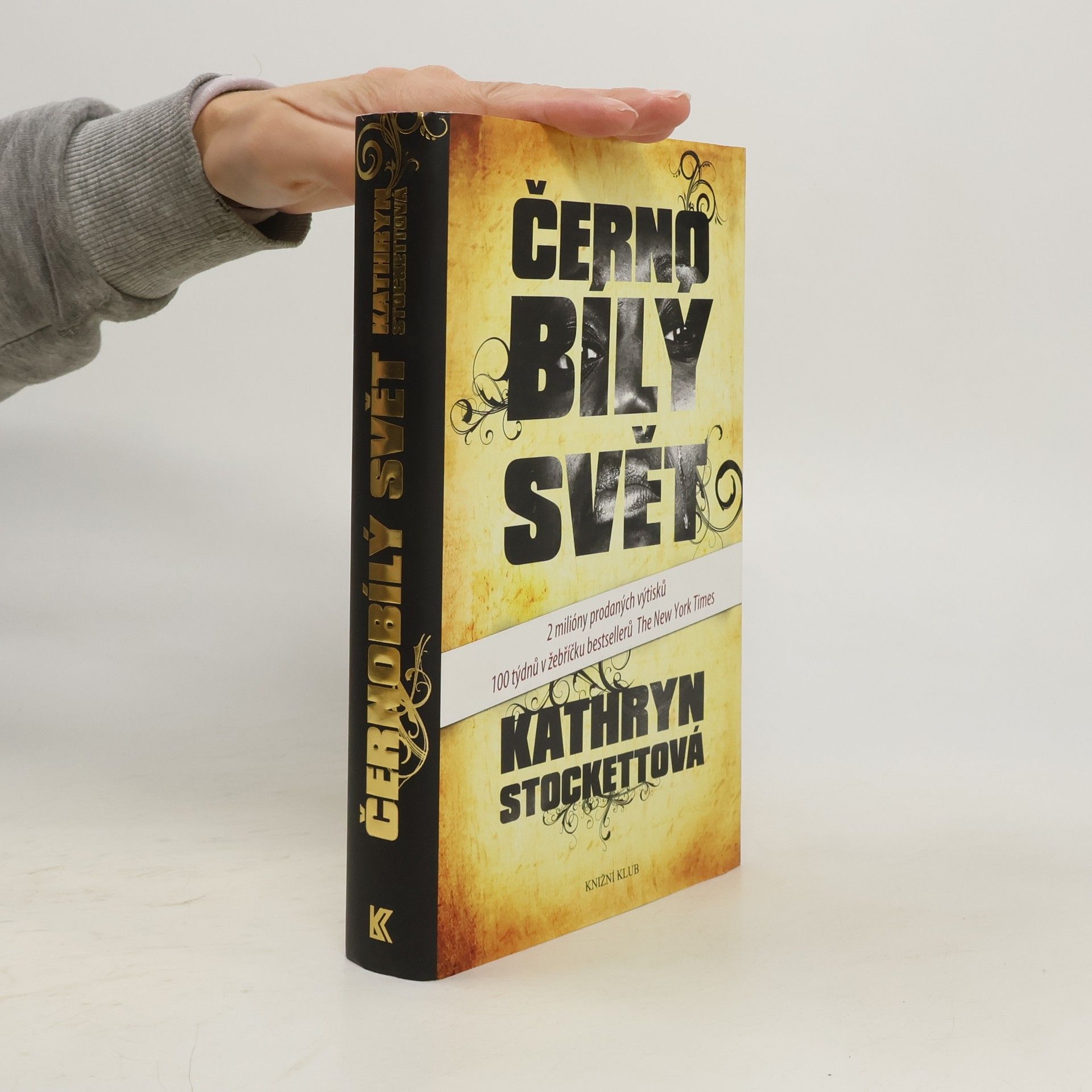 Kathryn Stockett Černobílý svět