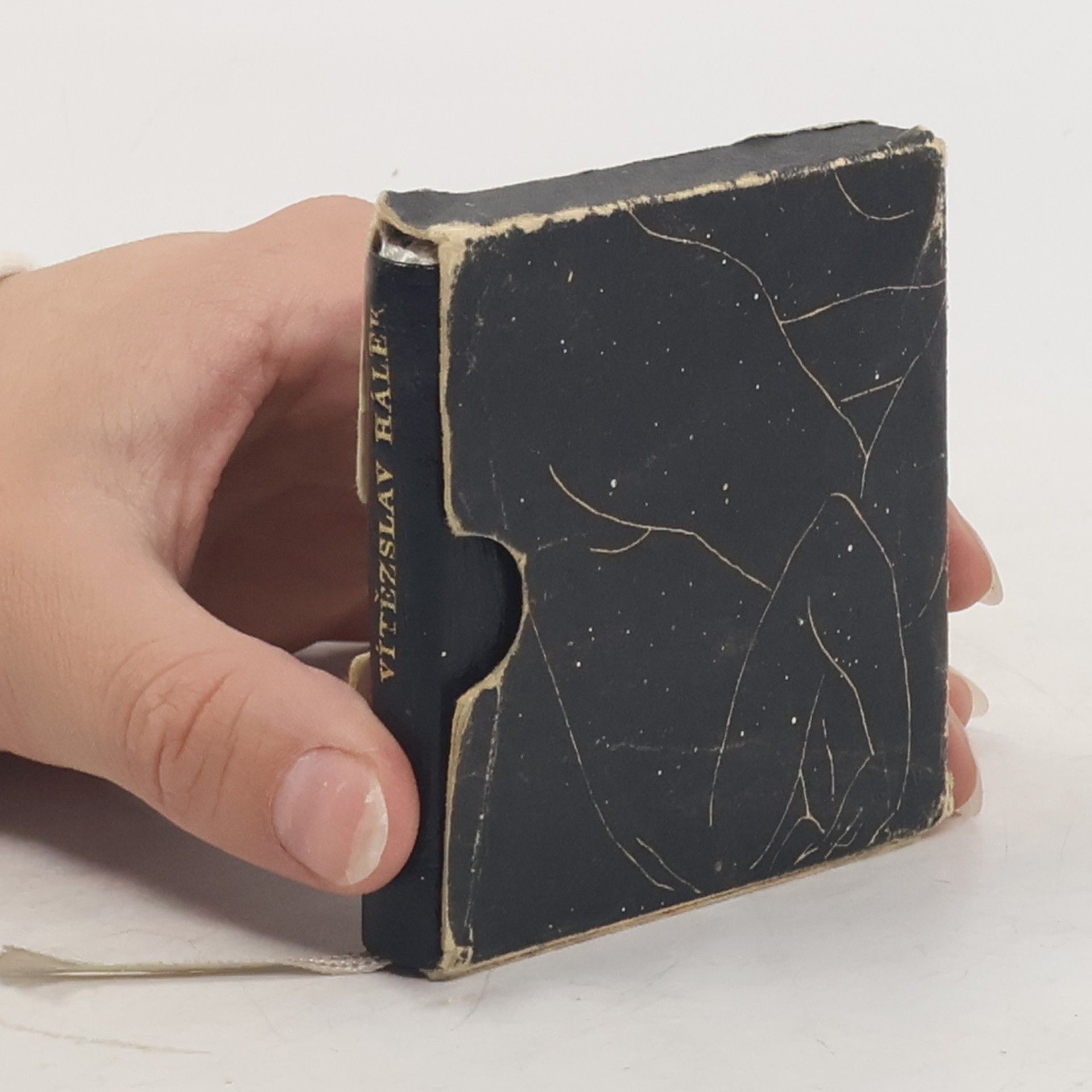 Vítězslav Hálek Večerní písně