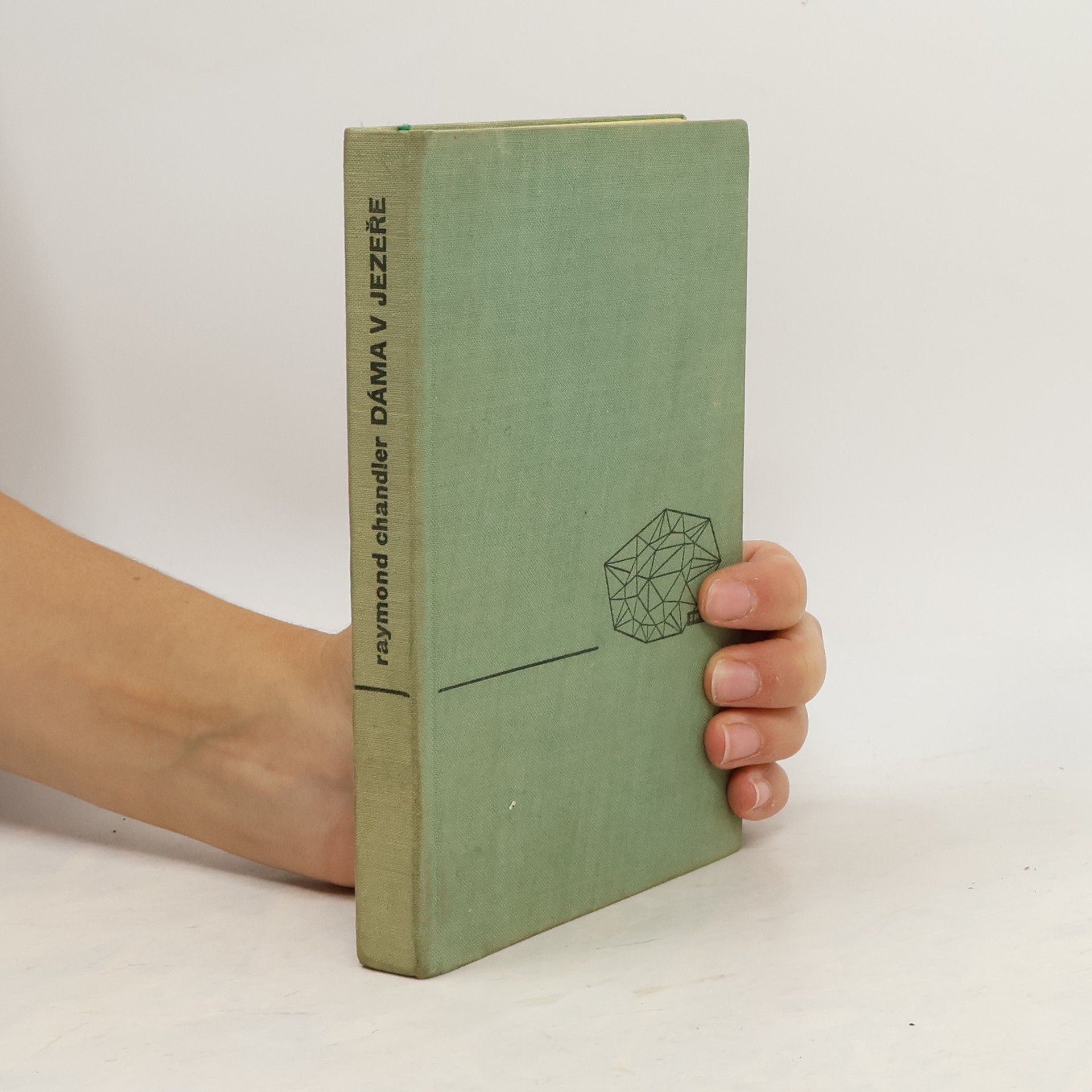 Raymond Chandler Dáma v jezeře