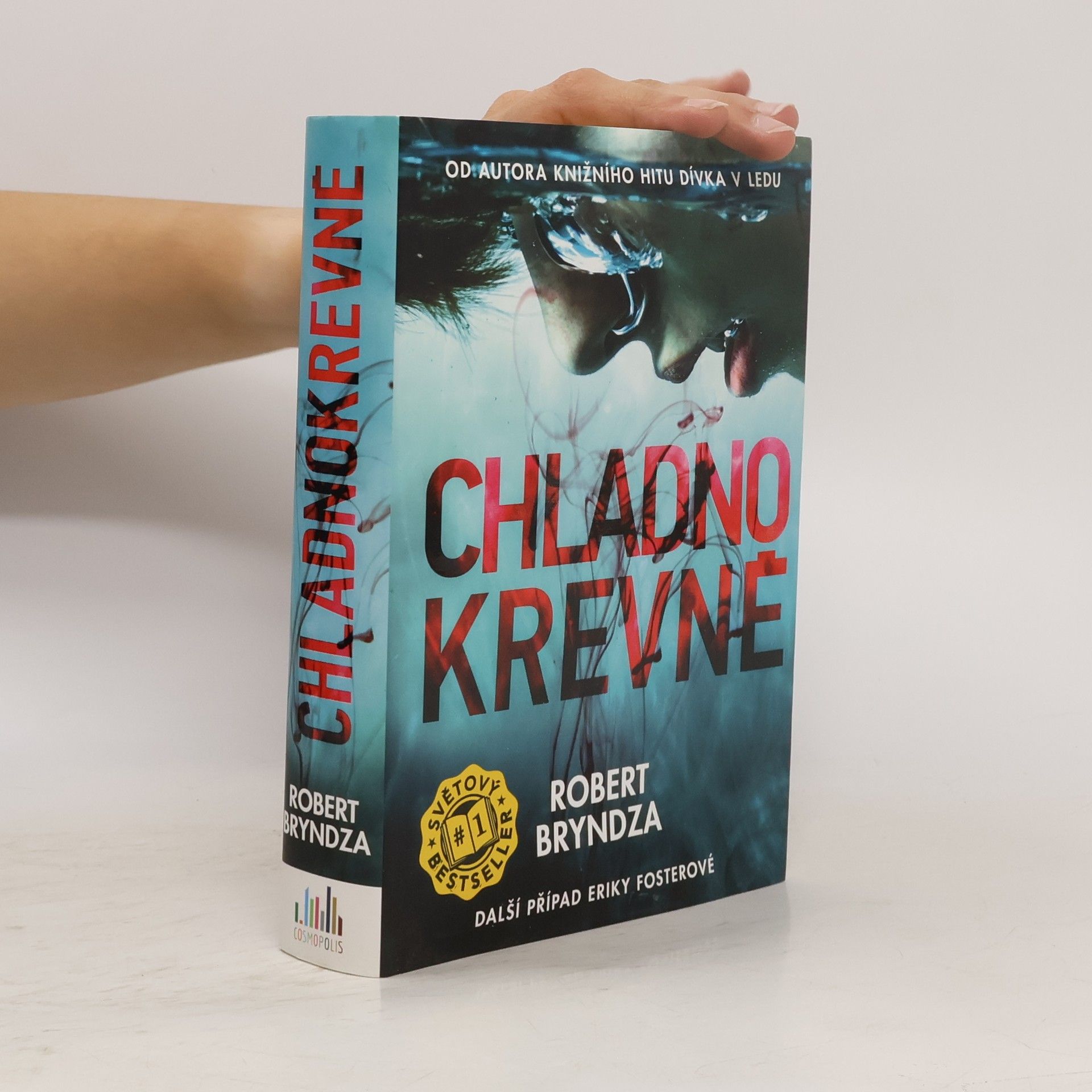 Robert Bryndza Chladnokrevně