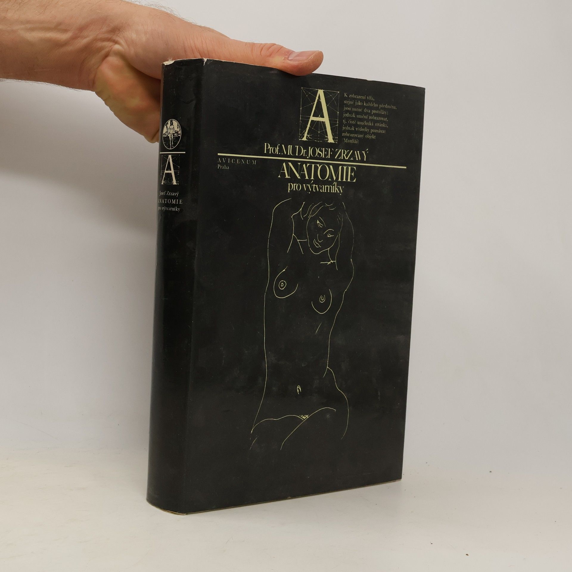 Anatomie pro výtvarníky