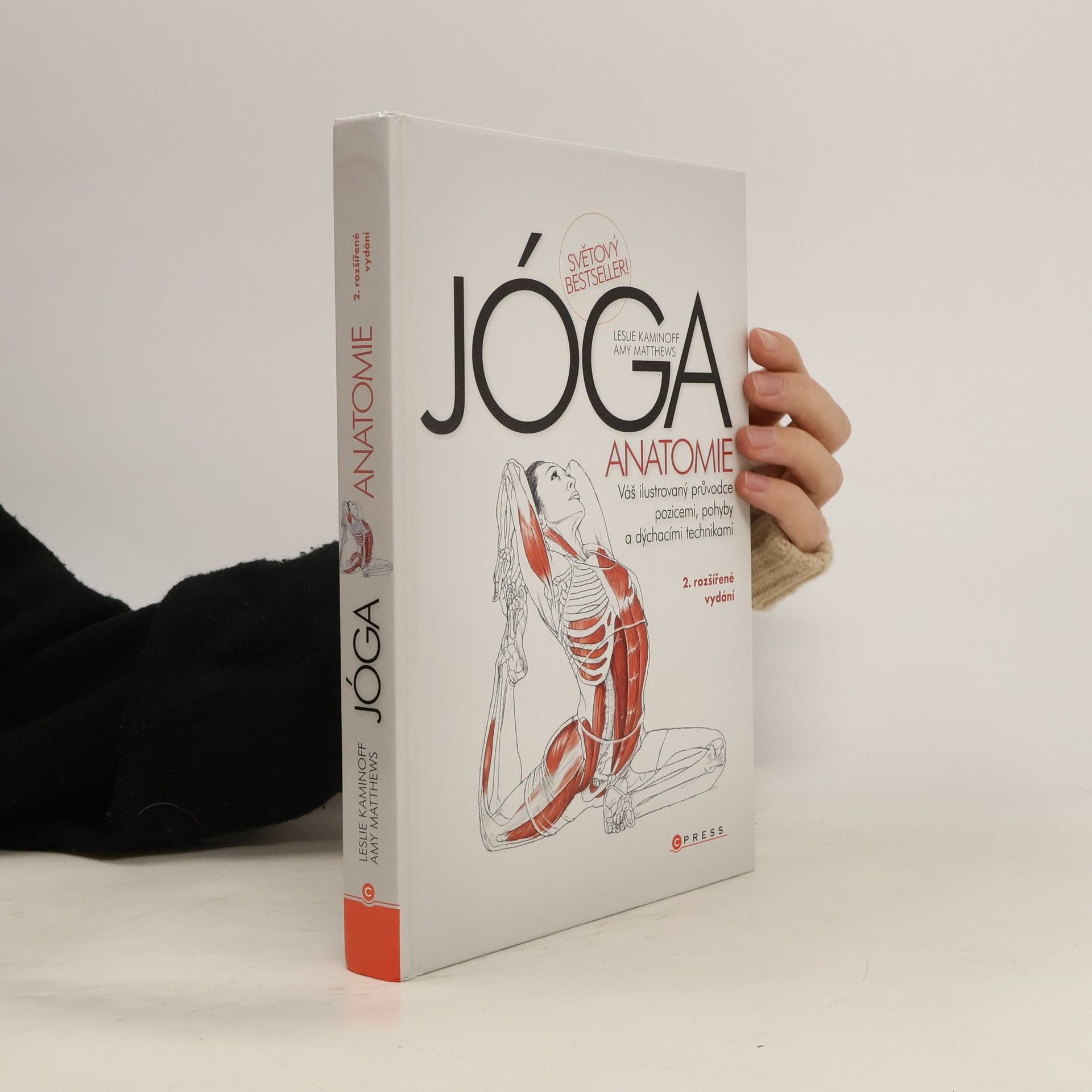 Jóga. Anatomie