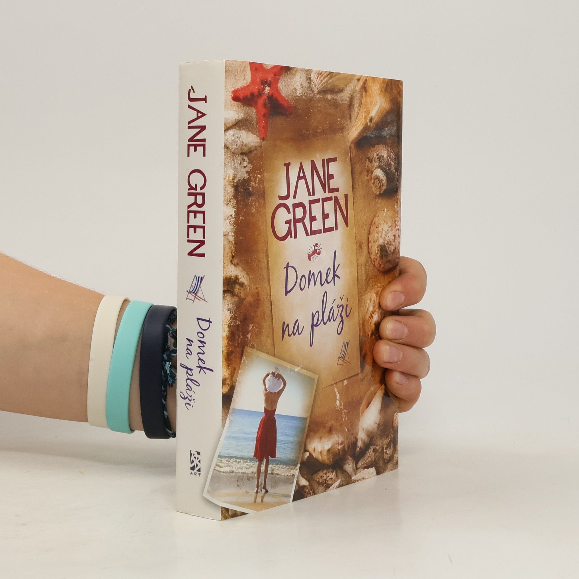 Jane Green Domek na pláži