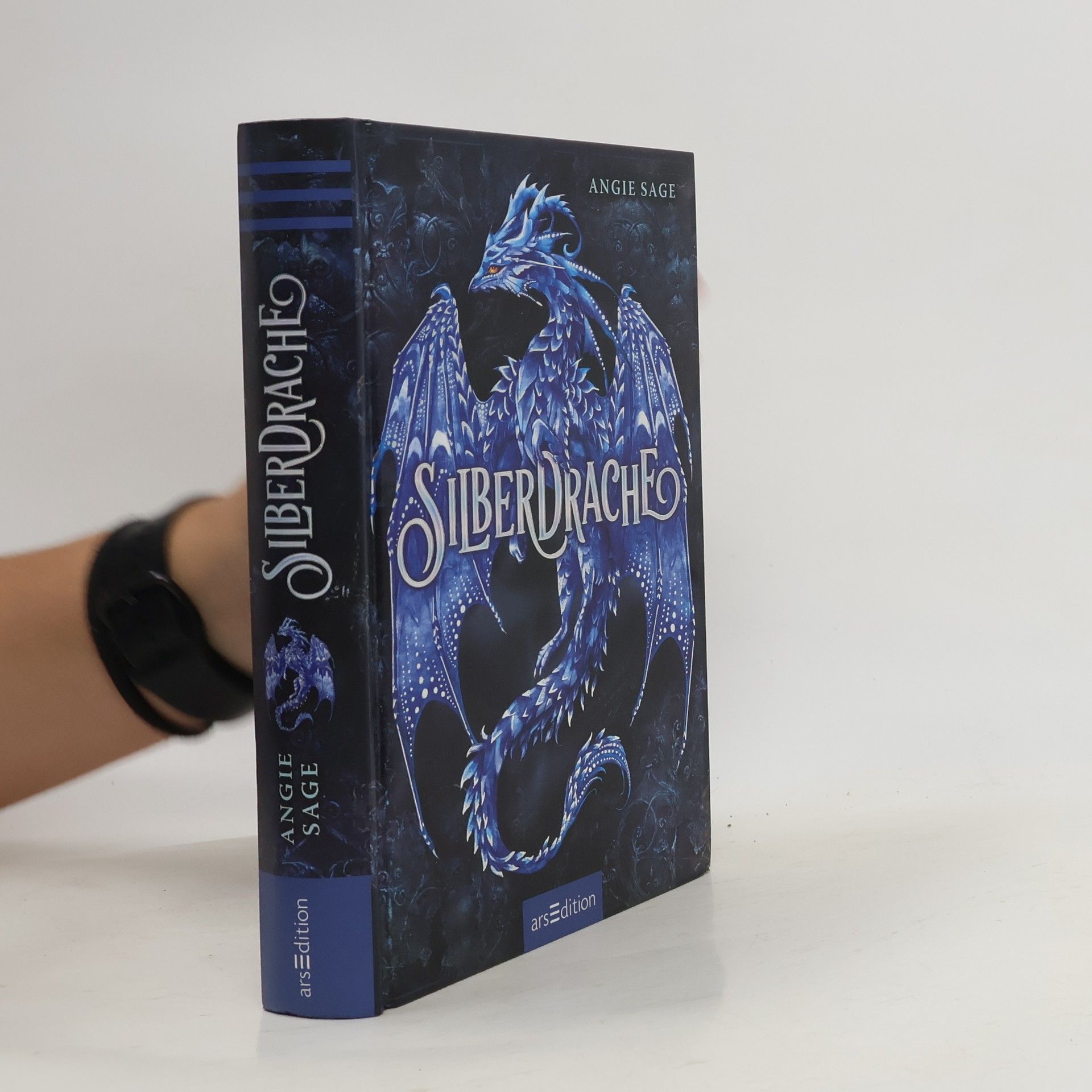 Angie Sage Silberdrache