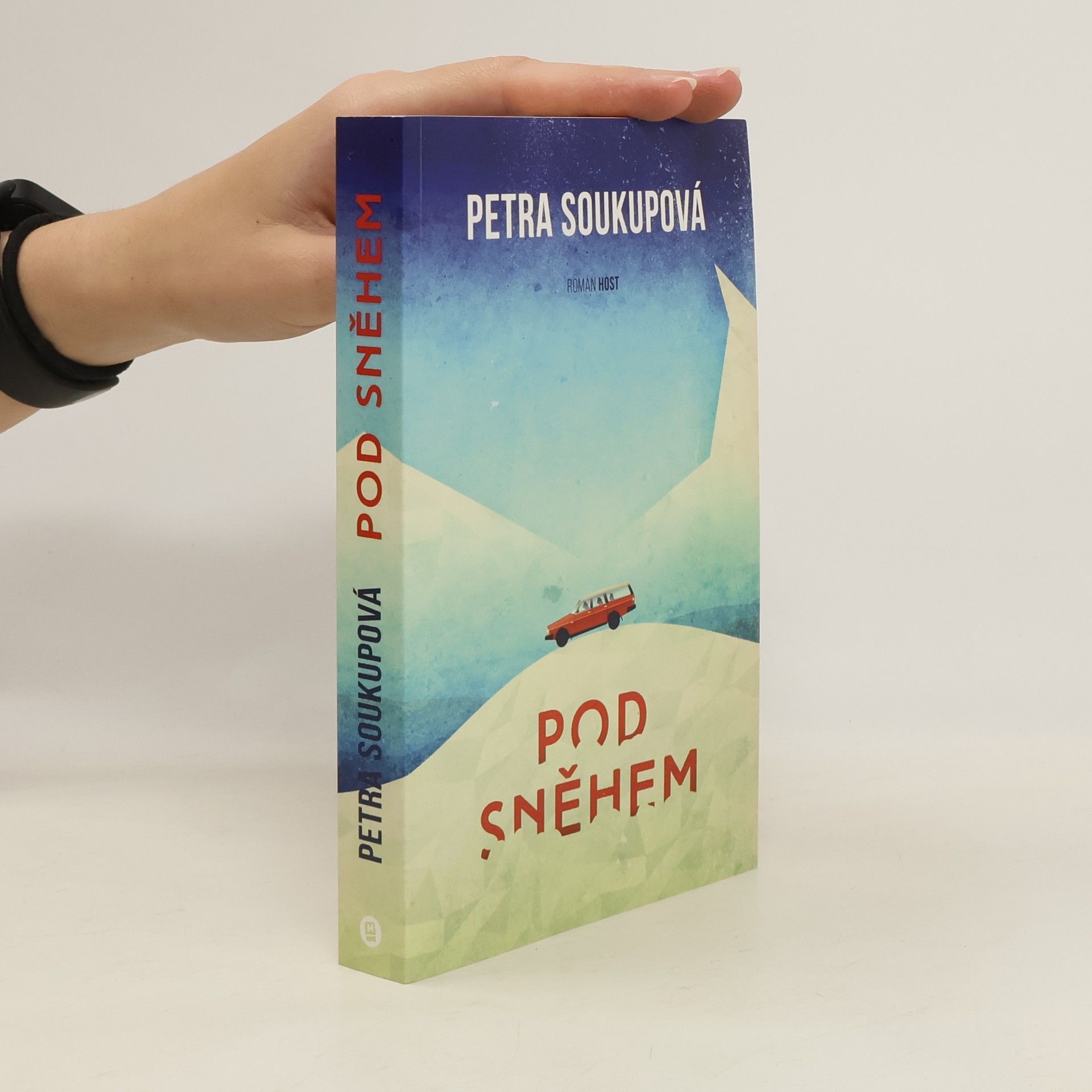 Petra Soukupova Pod sněhem