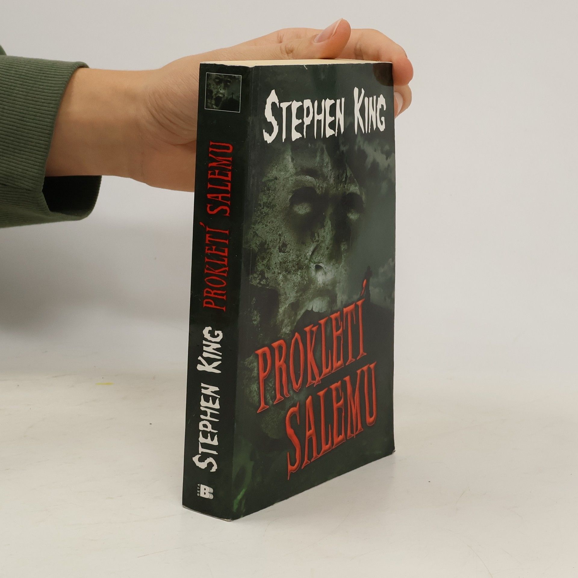 Stephen King Prokletí Salemu