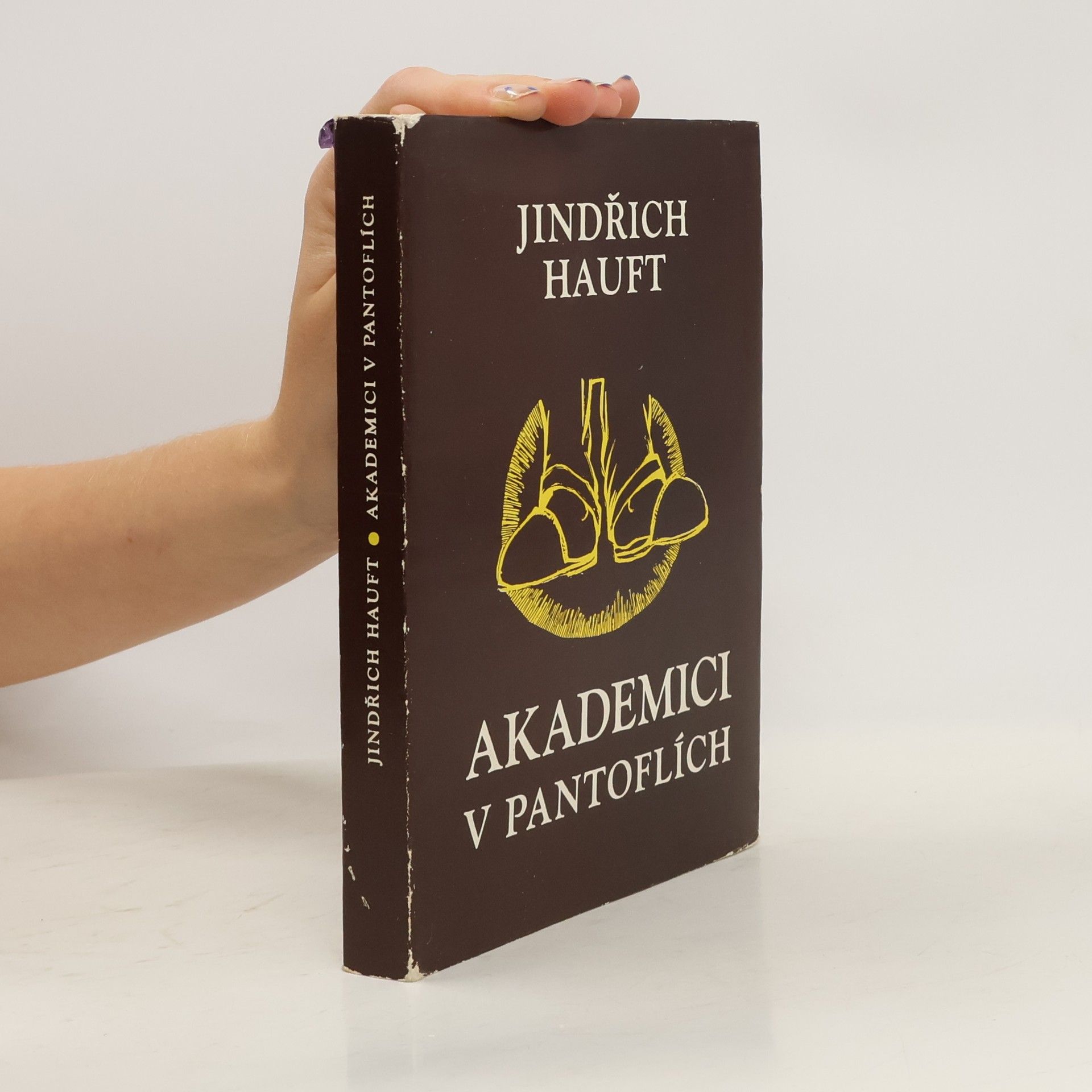 Akademici v pantoflích