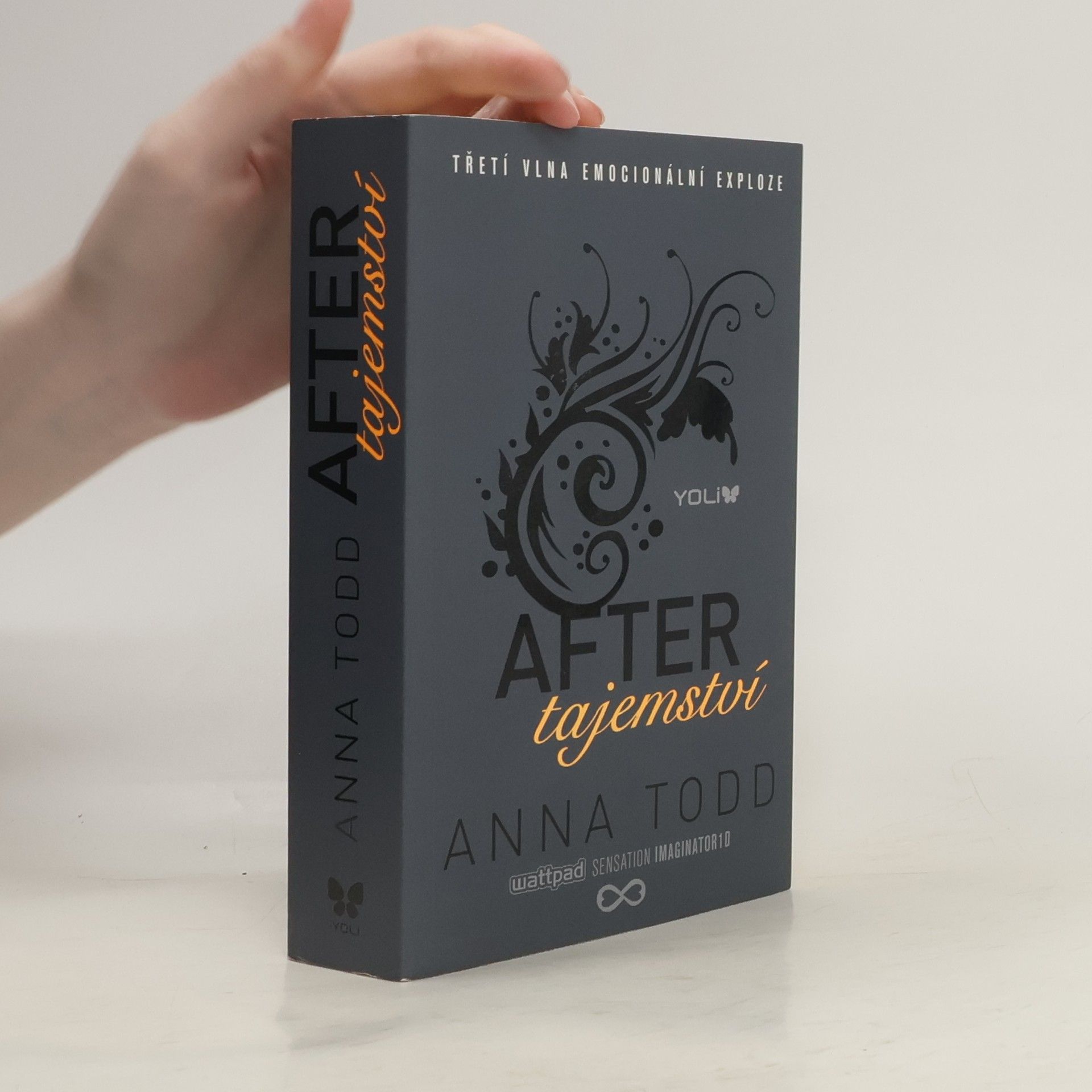 Anna Todd After. Tajemství