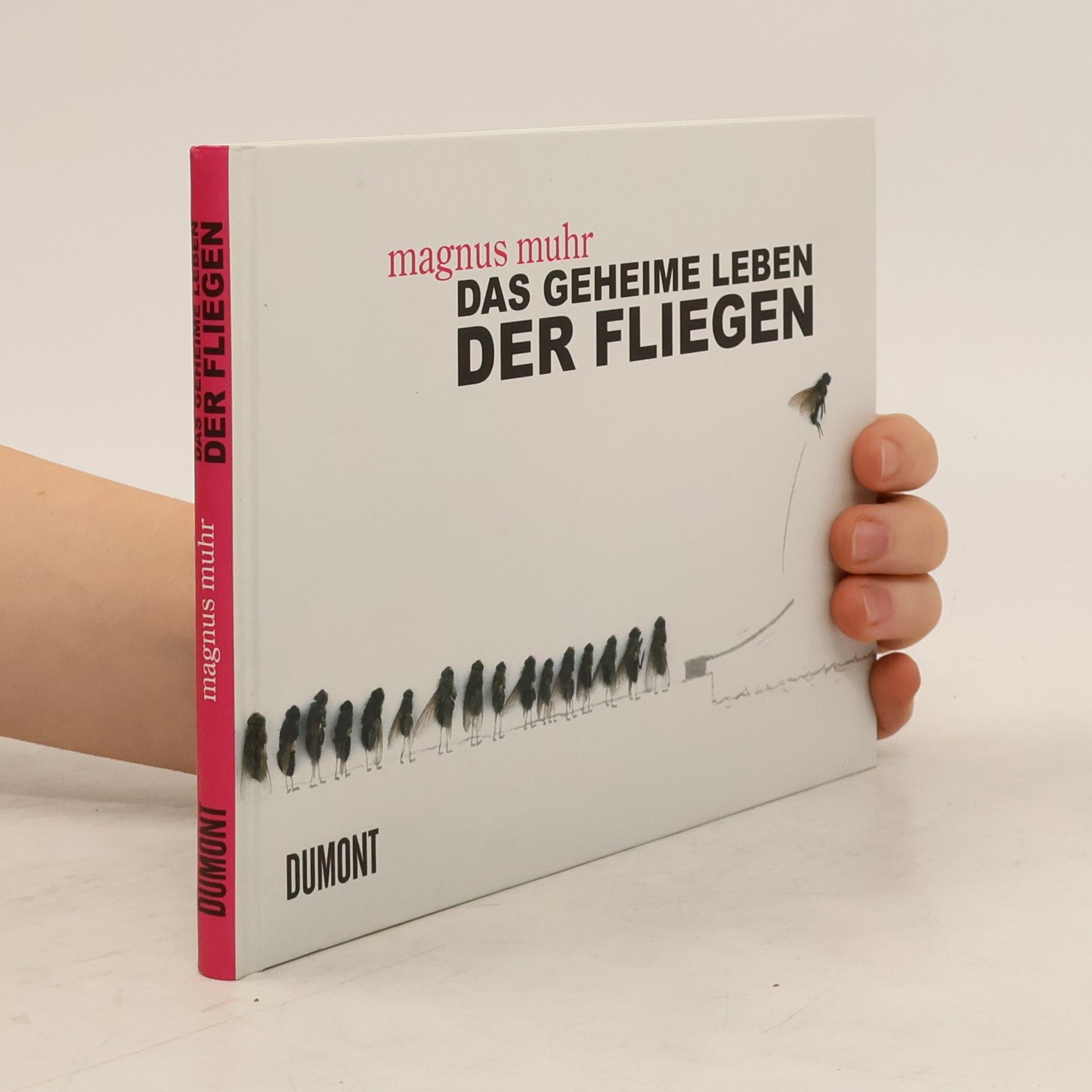 Magnus Muhr Das geheime Leben der Fliegen