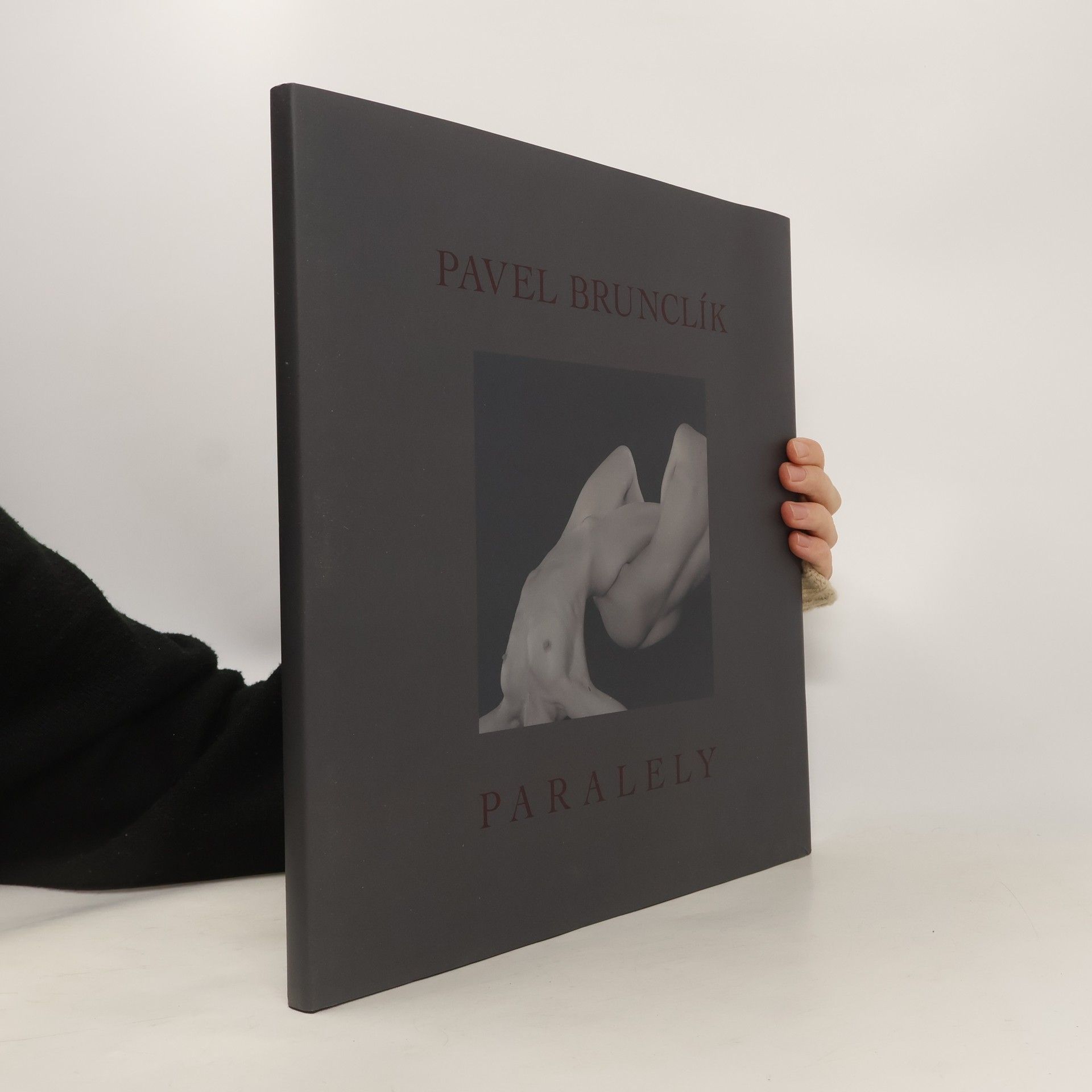 Pavel Brunclík Paralely