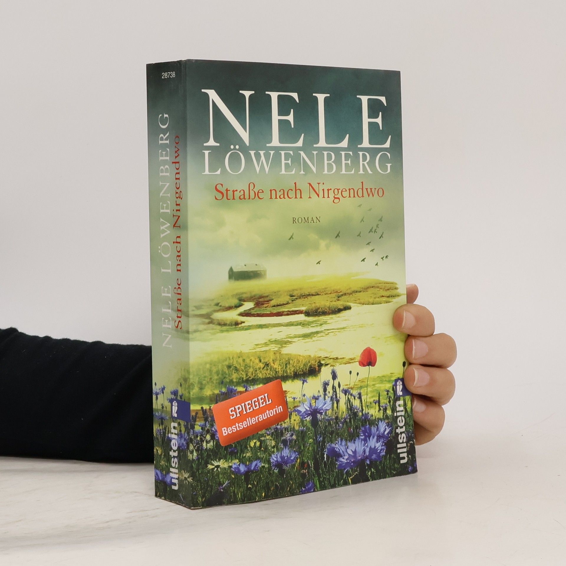 Straße nach Nirgendwo