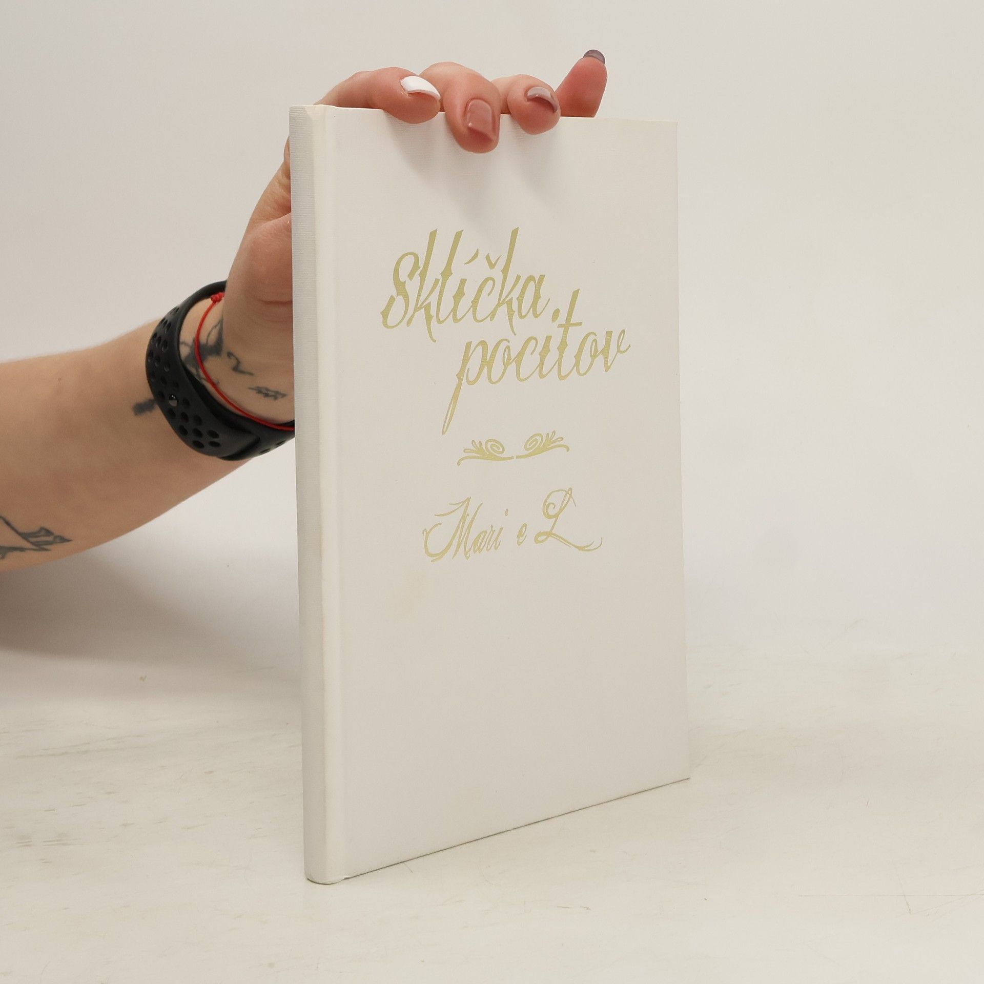 Kolektív autorov Sklíčka pocitov