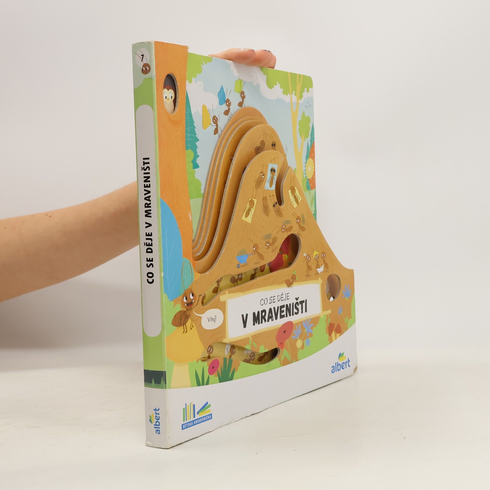 Kolektív autorov Co se děje v mraveništi