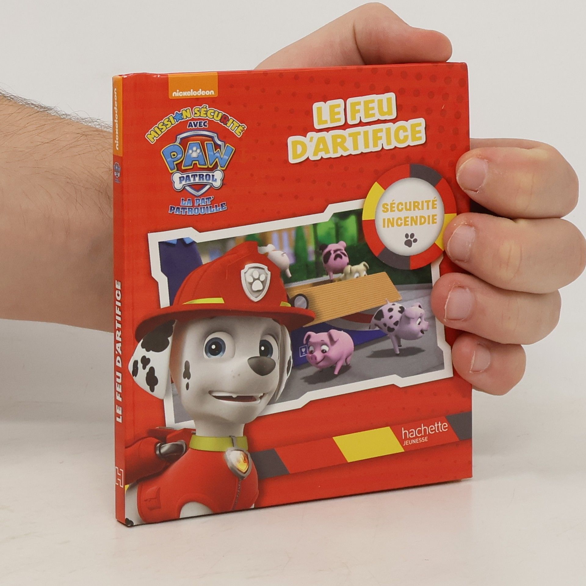 Collectif d'auteurs Le feu d'artifice