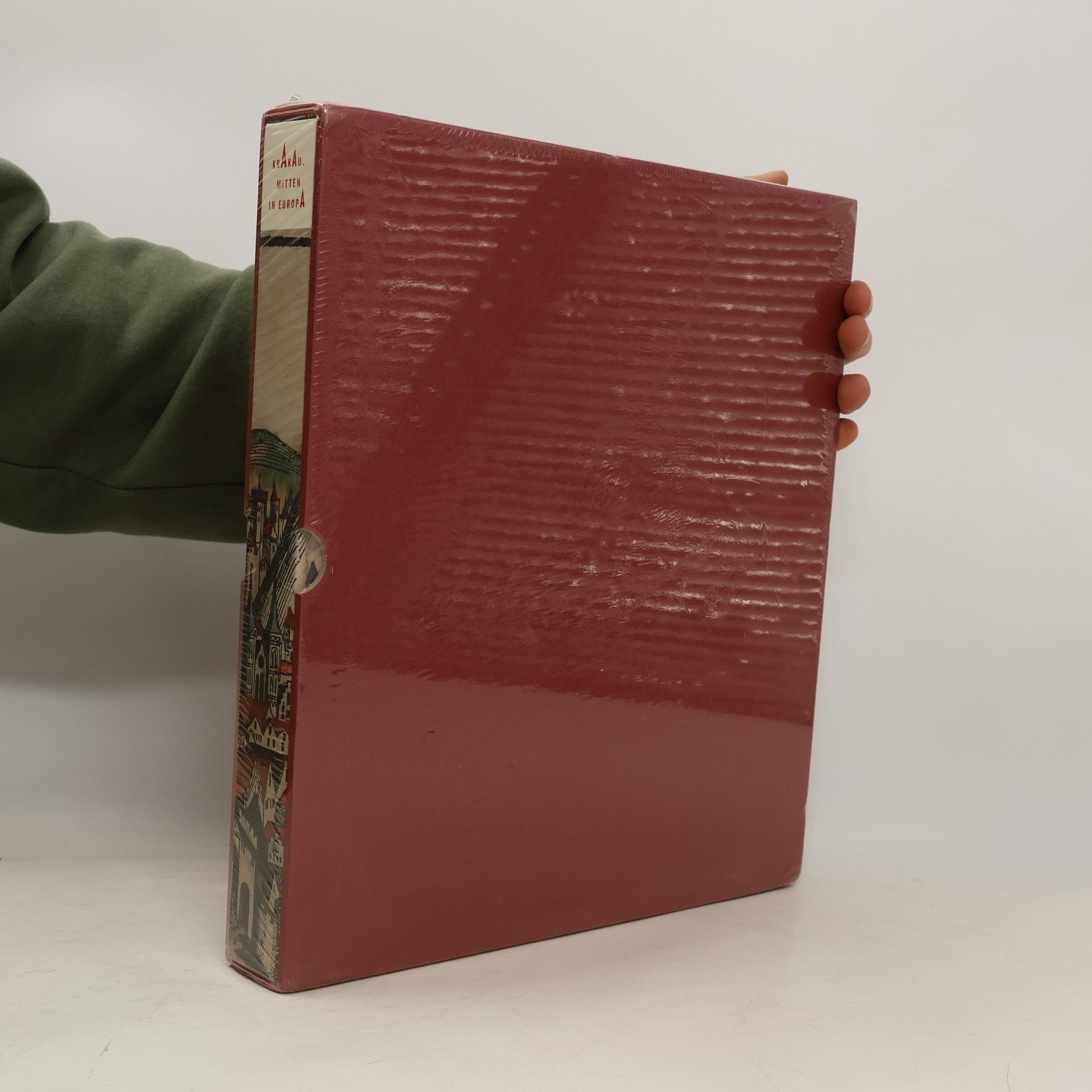 Collectif d'auteurs Krakau