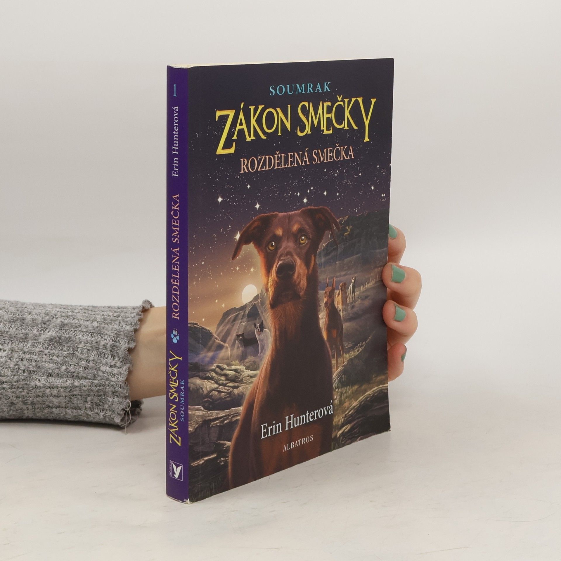 Erin Hunter Rozdělená smečka