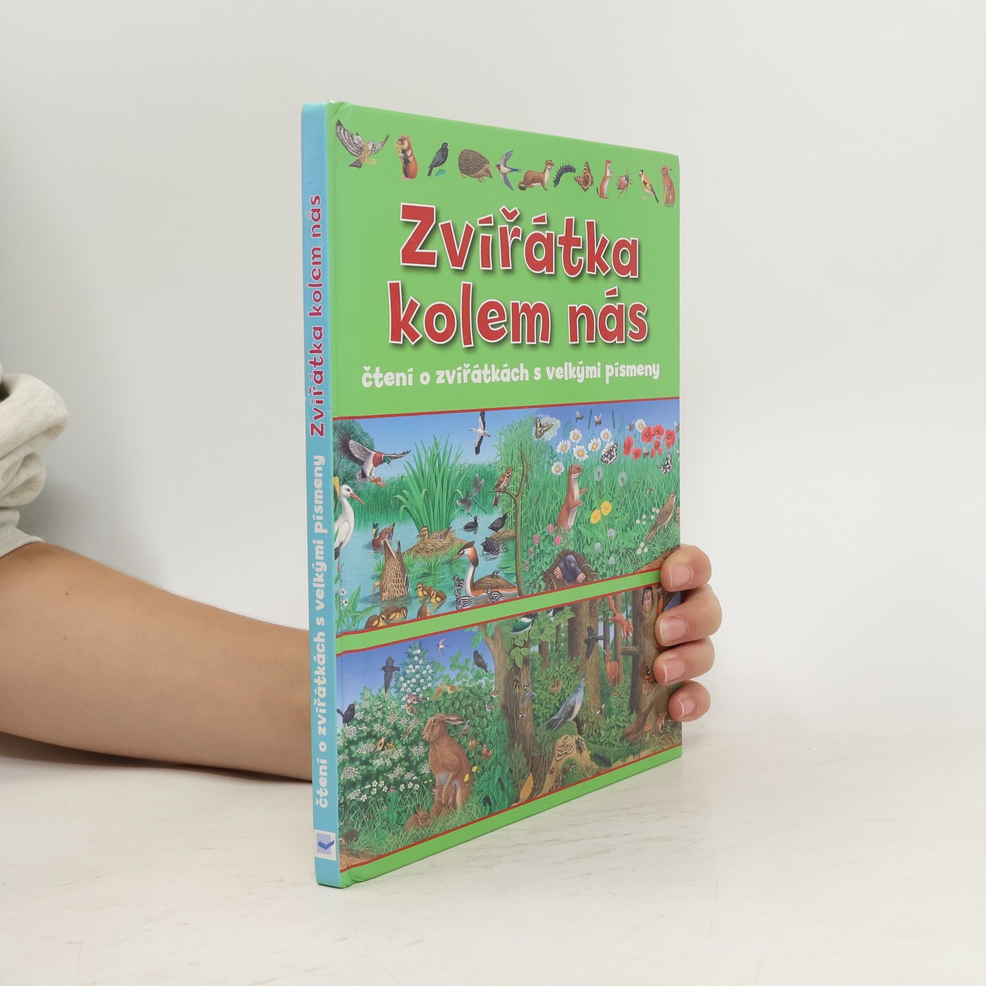 Autorenkollektiv Zvířátka kolem nás : čtení o zvířátkách s velkými písmeny