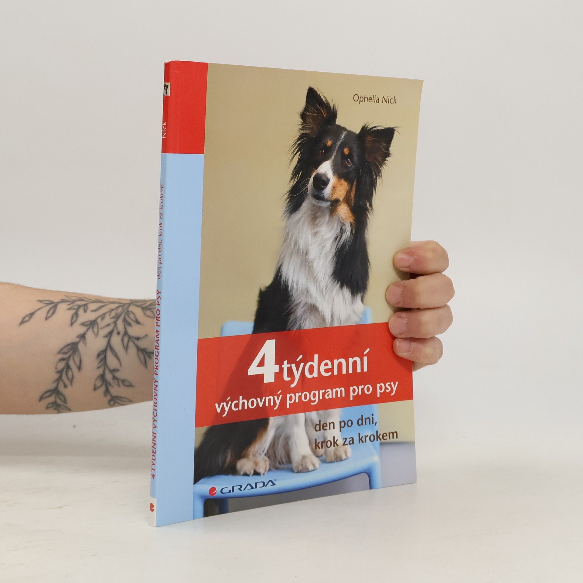 4týdenní výchovný program pro psy