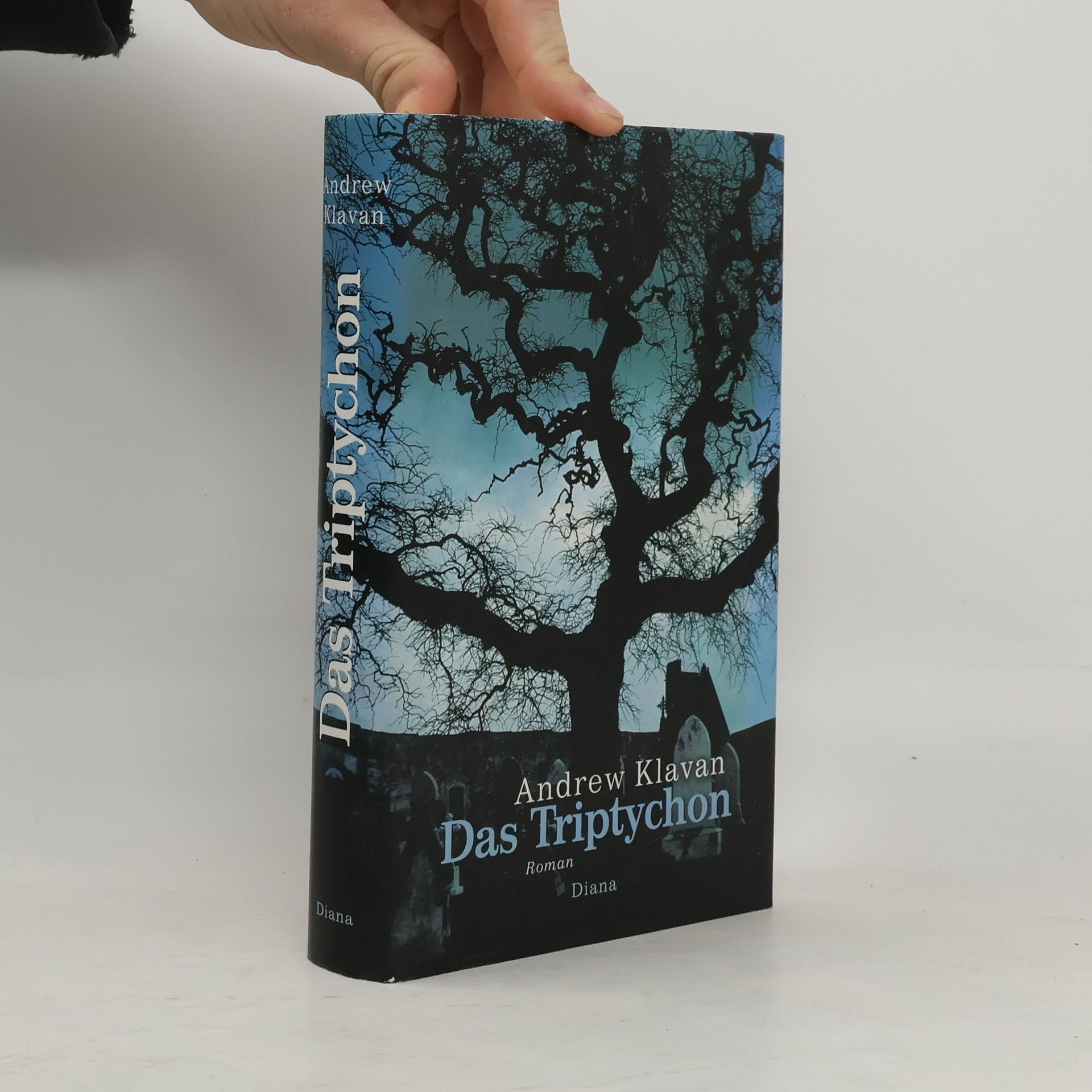 Andrew Klavan Das Triptychon