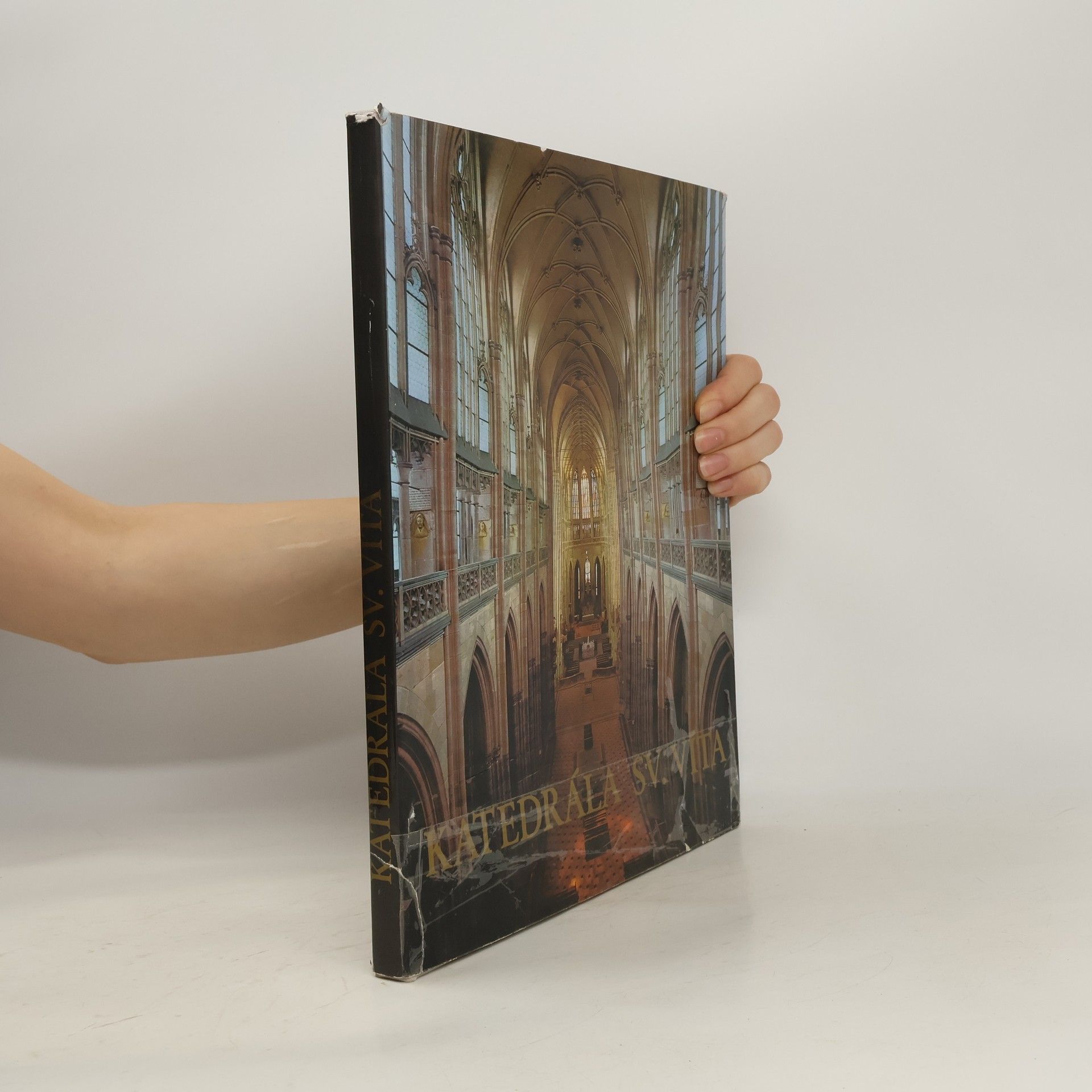 Katedrála sv. Víta