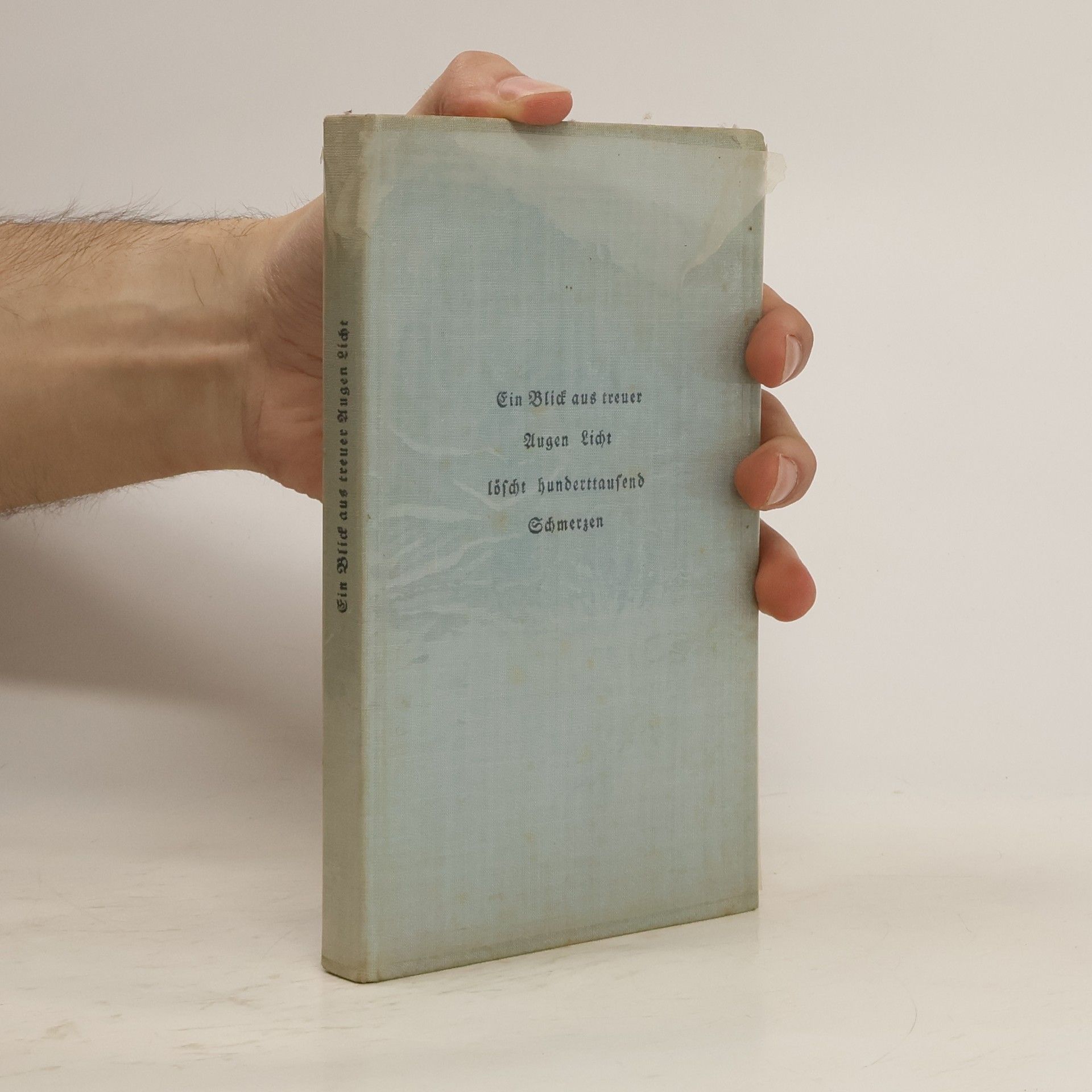 Autorenkollektiv Ein Blid aus treuer Augen Licht