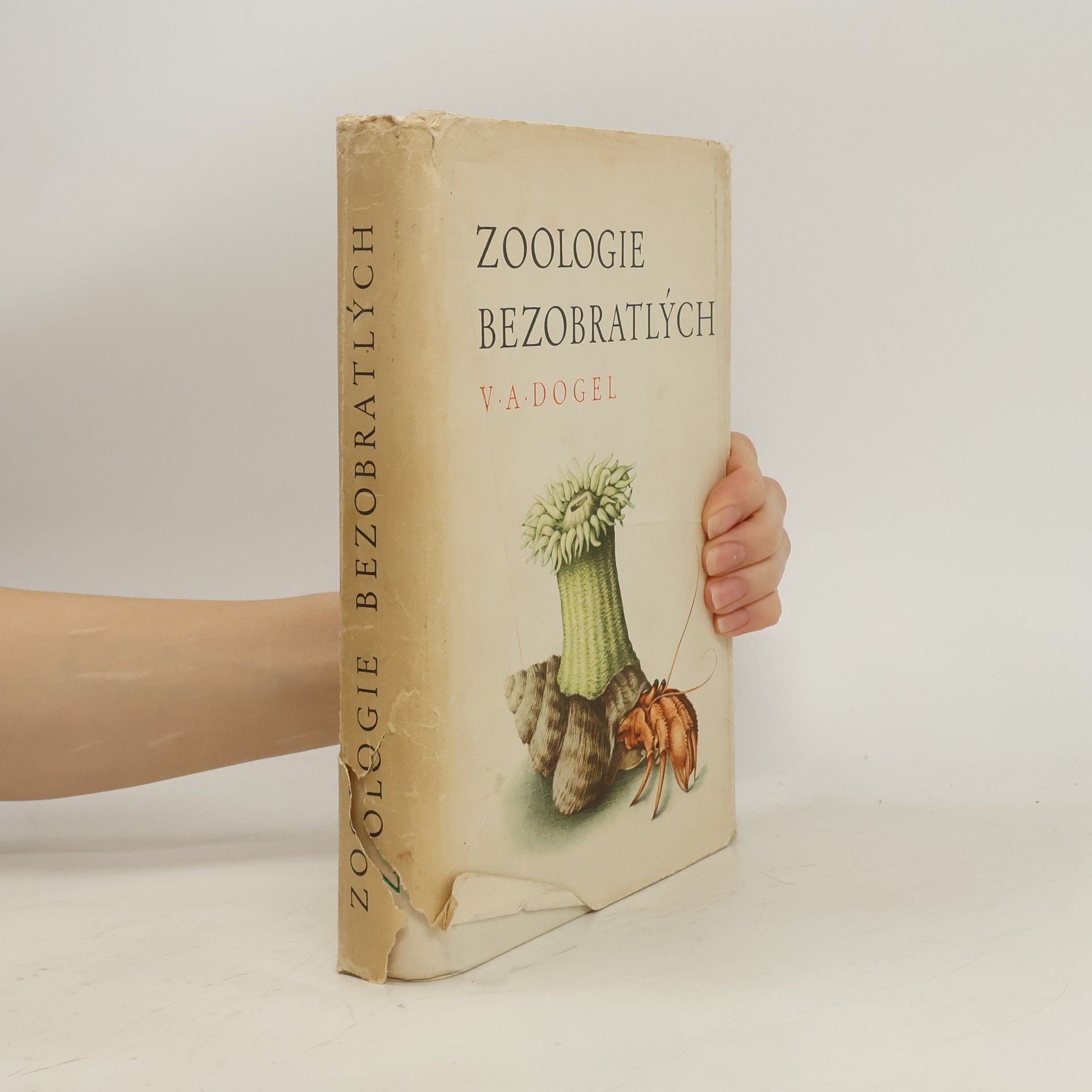 V. A. Dogel Zoologie bezobratlých