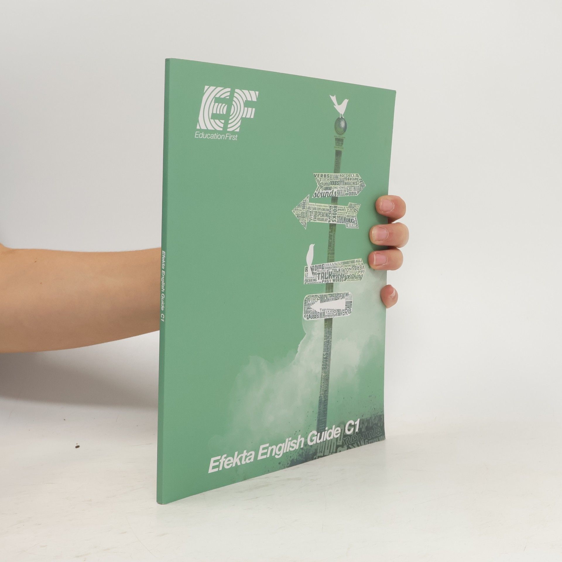 Various authors Efekta English Guide C1