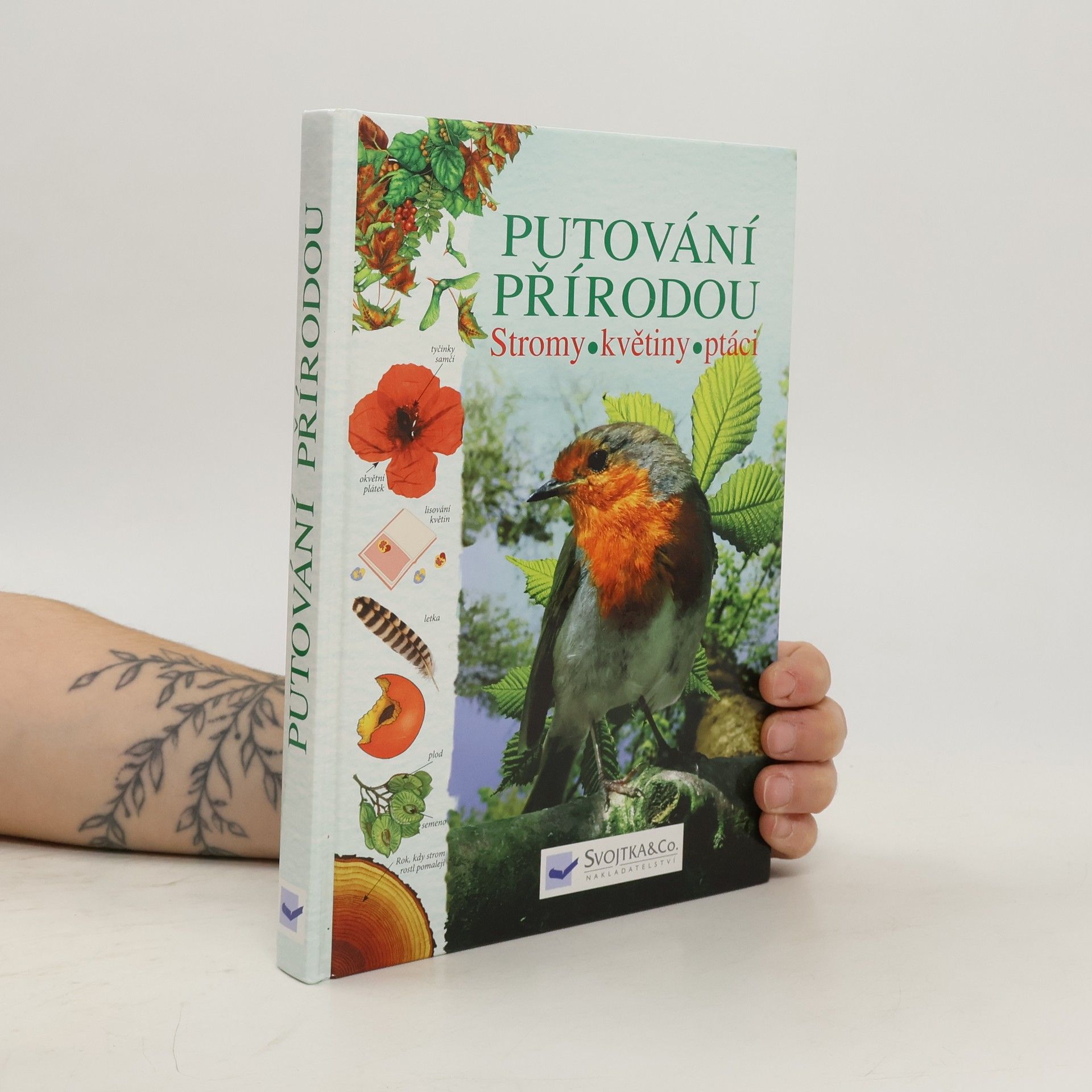 Kolektiv autorů Putování přírodou: Stromy, květiny, ptáci