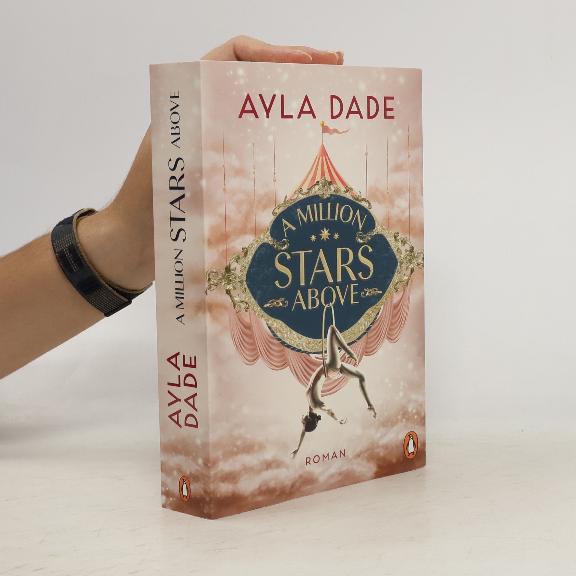Ayla Dade A Million Stars Above / Sky Circus Bd.1