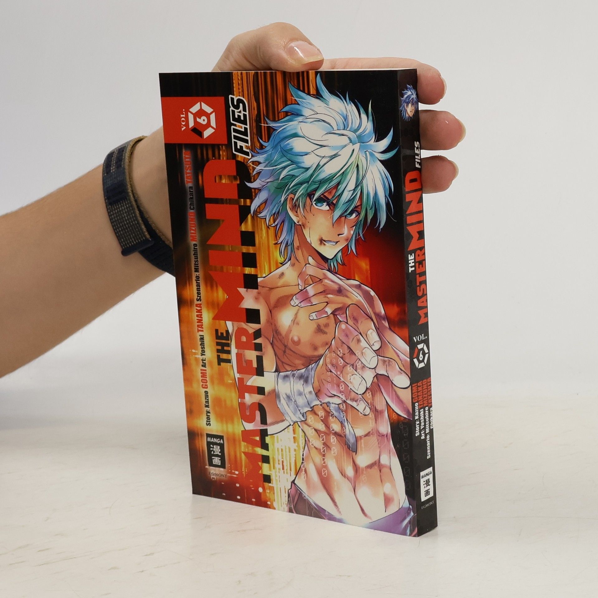 Burkhard Höfler The Mastermind Files 6