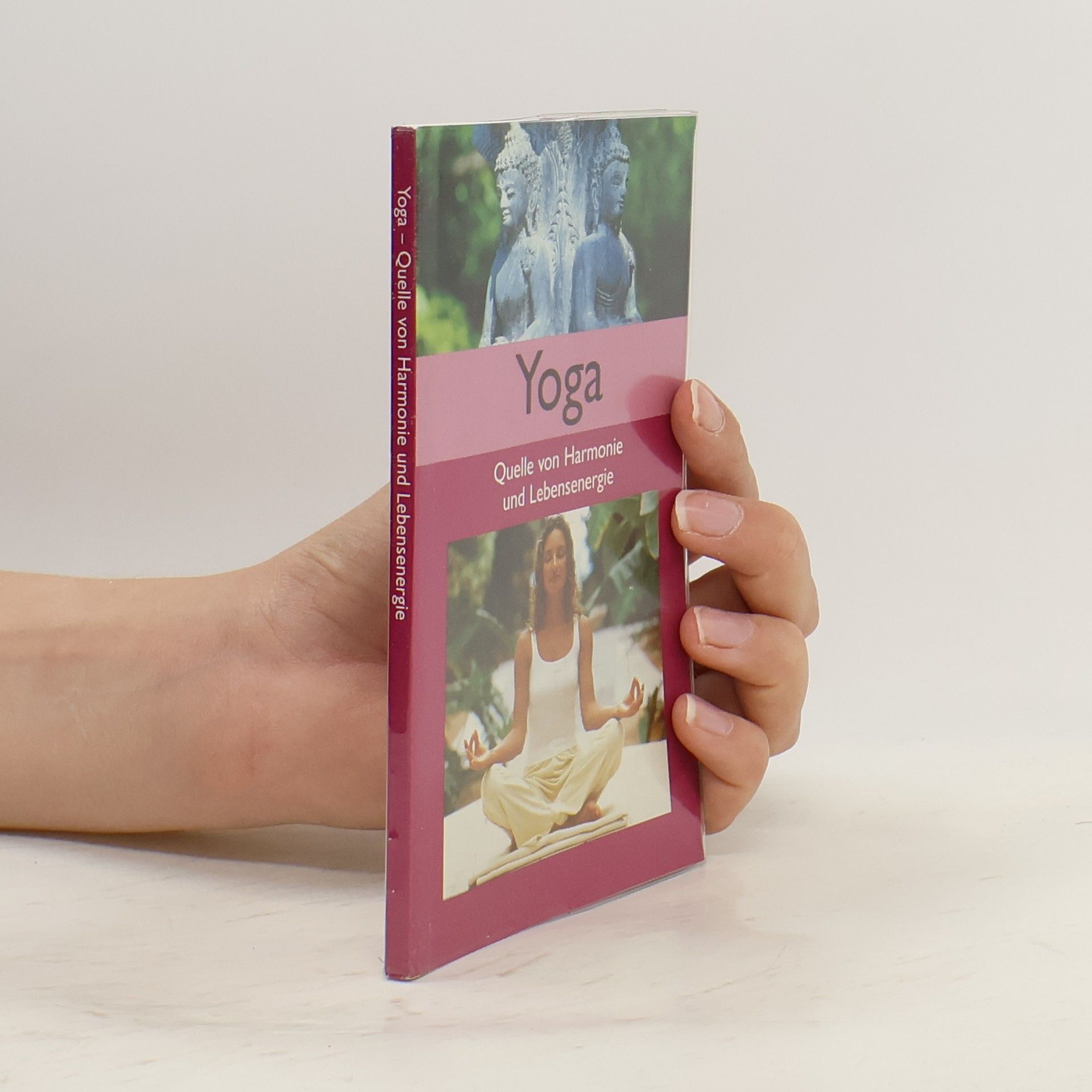 Auteurscollectief Yoga. Quelle von Harmonie und Lebensenergie