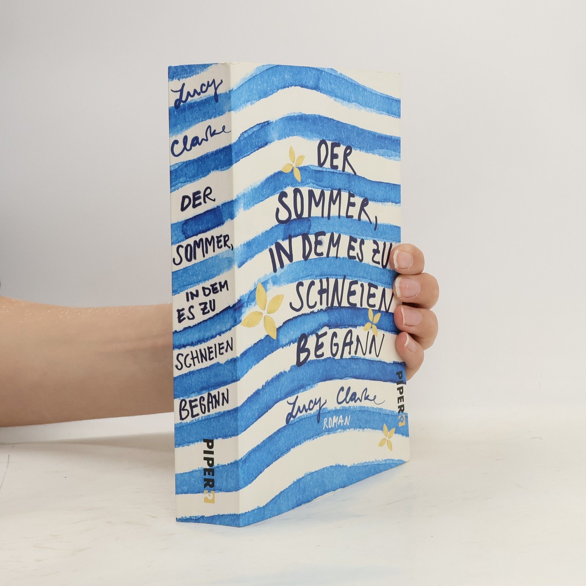 Lucy Clarke Der Sommer, in dem es zu schneien begann