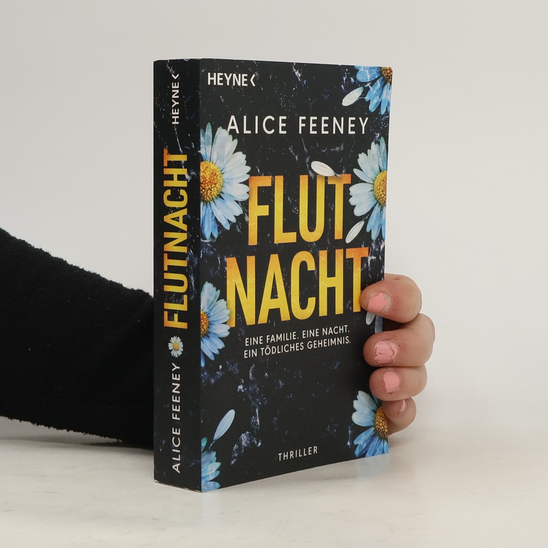 Flutnacht – Eine Familie. Eine Nacht. Ein tödliches Geheimnis.. Thriller