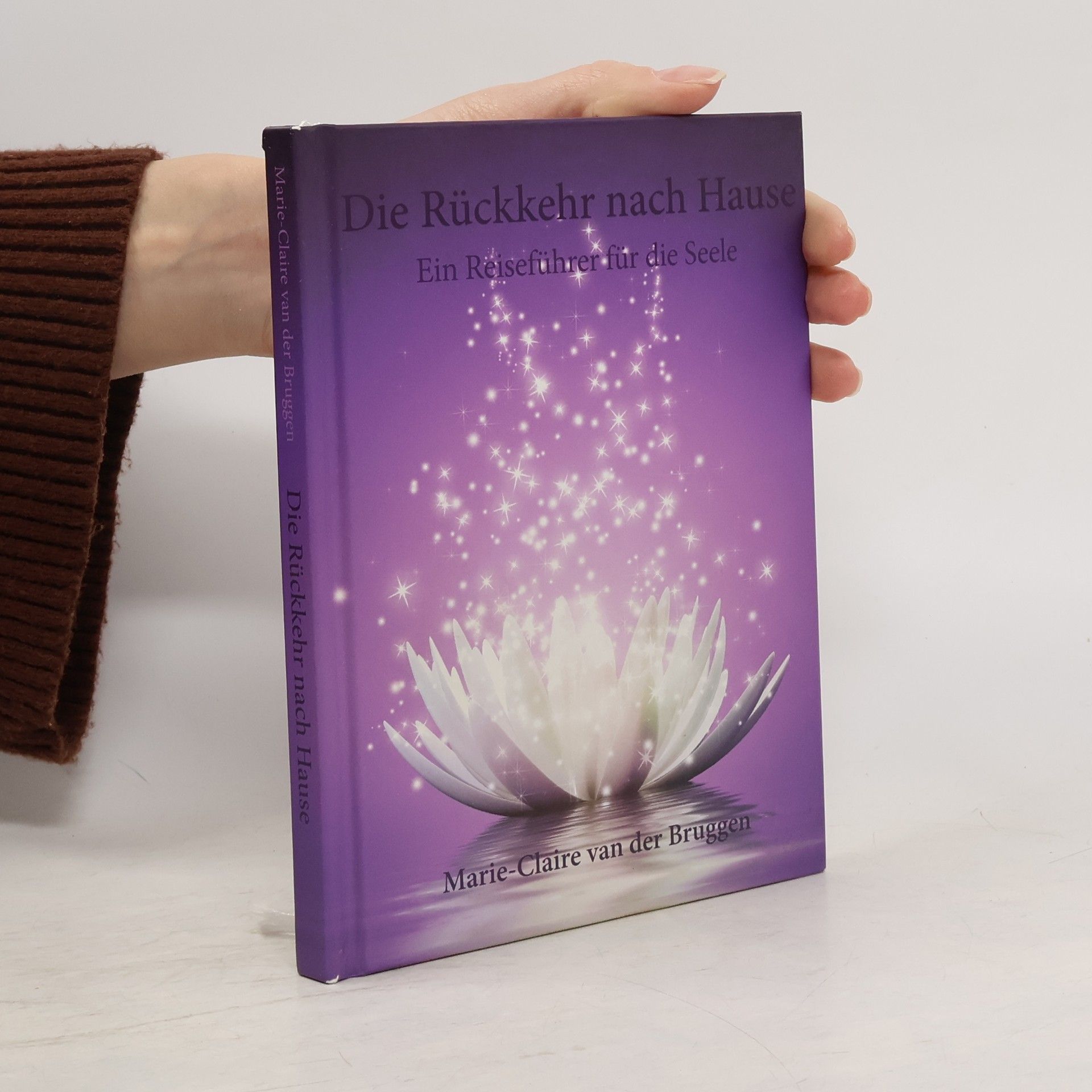 Die Rückkehr nach Hause