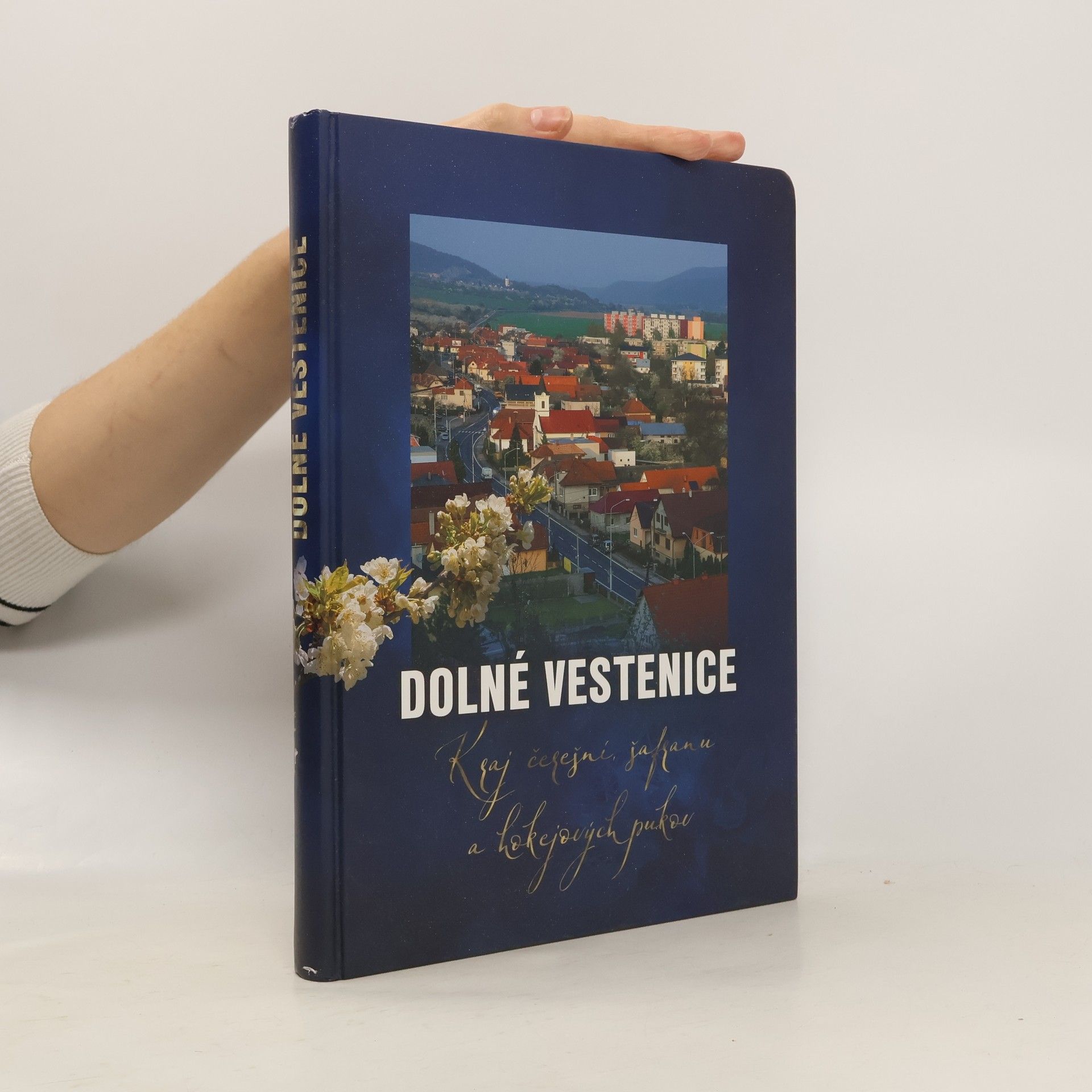 Collectif d'auteurs Dolné Vestenice