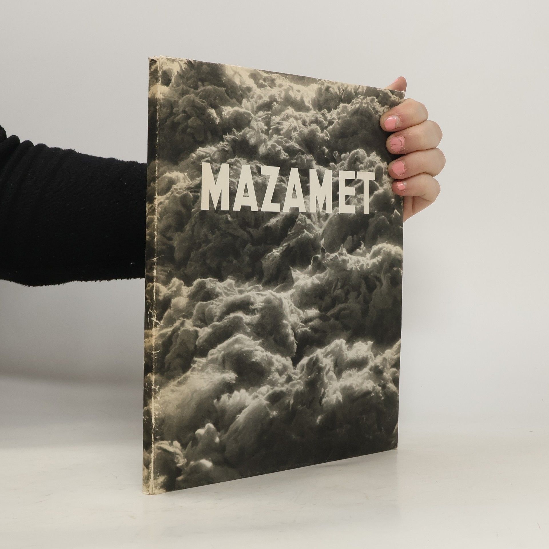 André Ribes Mazamet